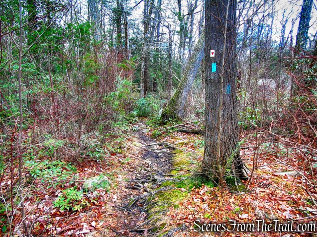 joint A-SB Trail/Long Path