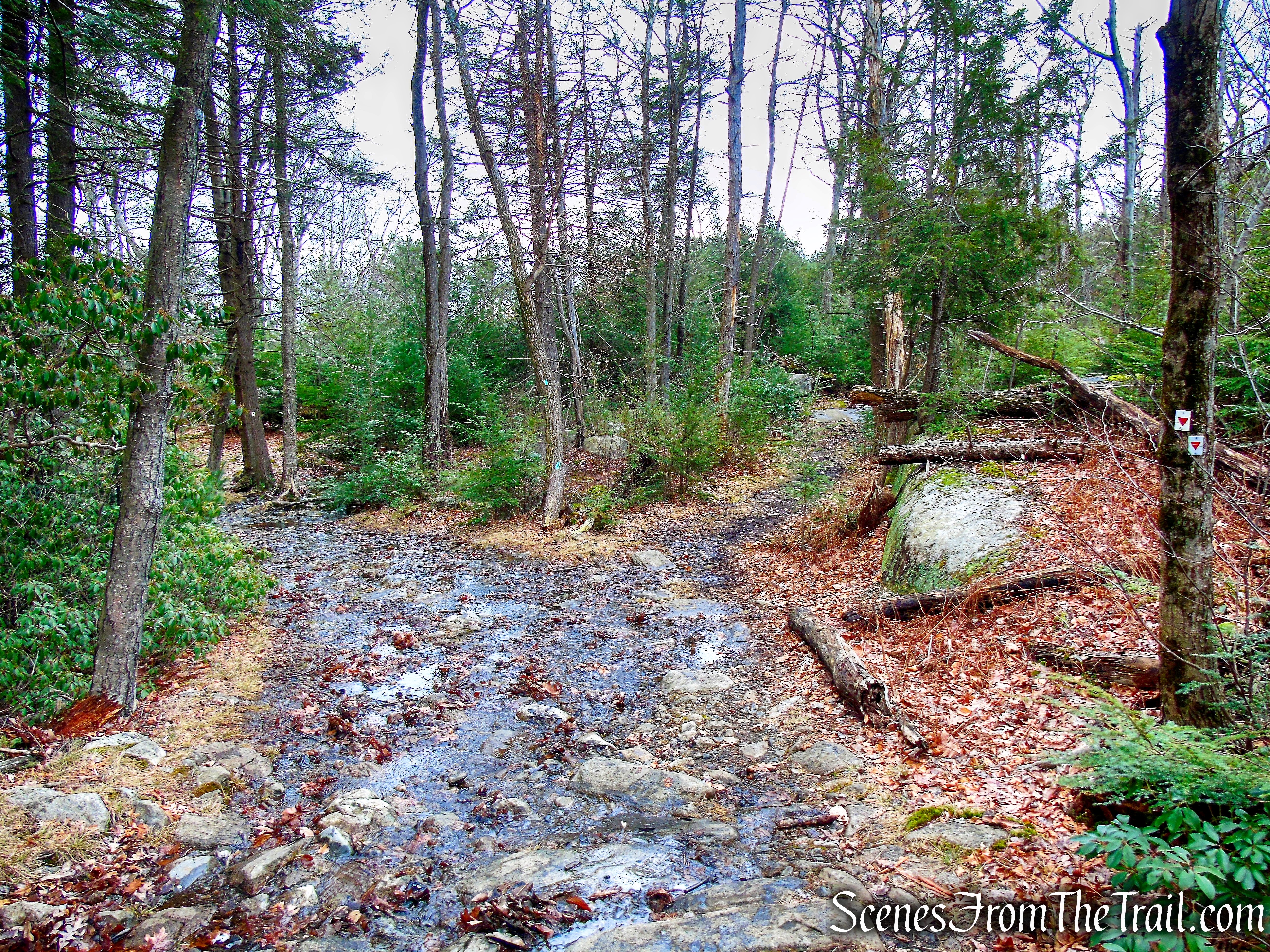 veer right onto Long Path