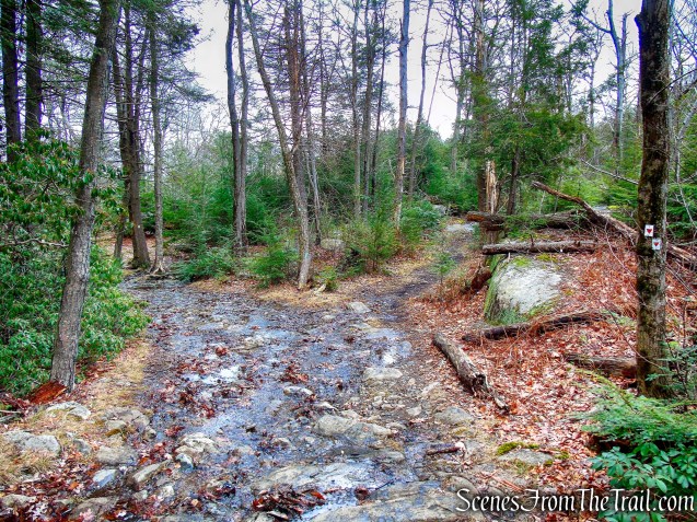 veer right onto Long Path