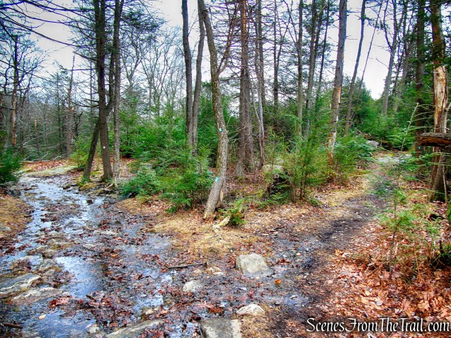 veer right onto Long Path