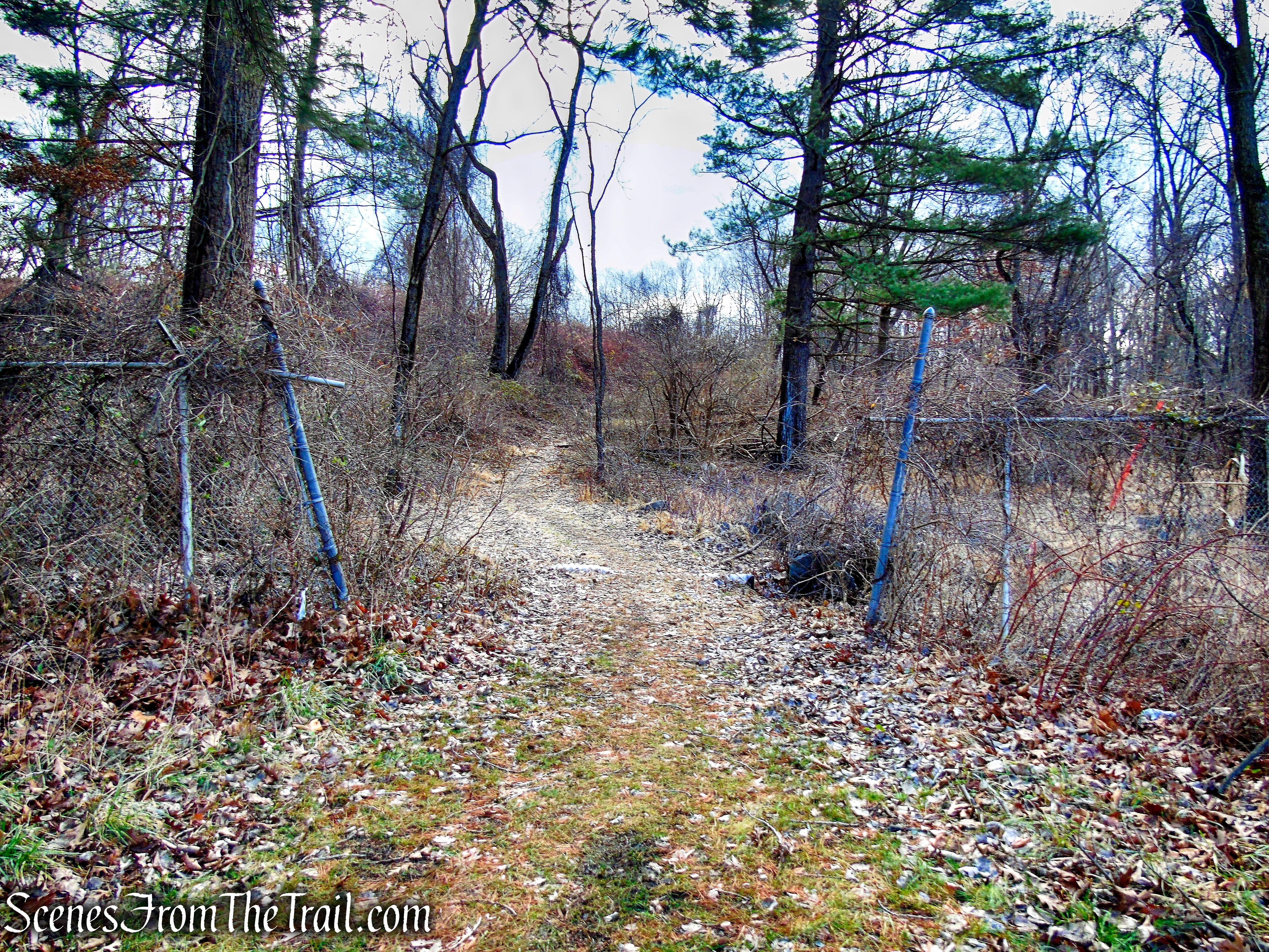 Trail 1 - George's Island Park