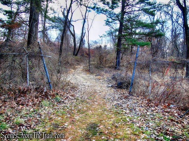 Trail 1 - George's Island Park