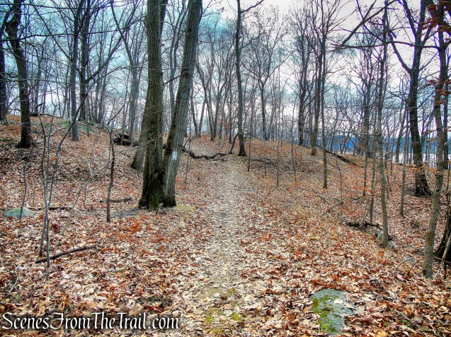 Trail 1 - George's Island Park