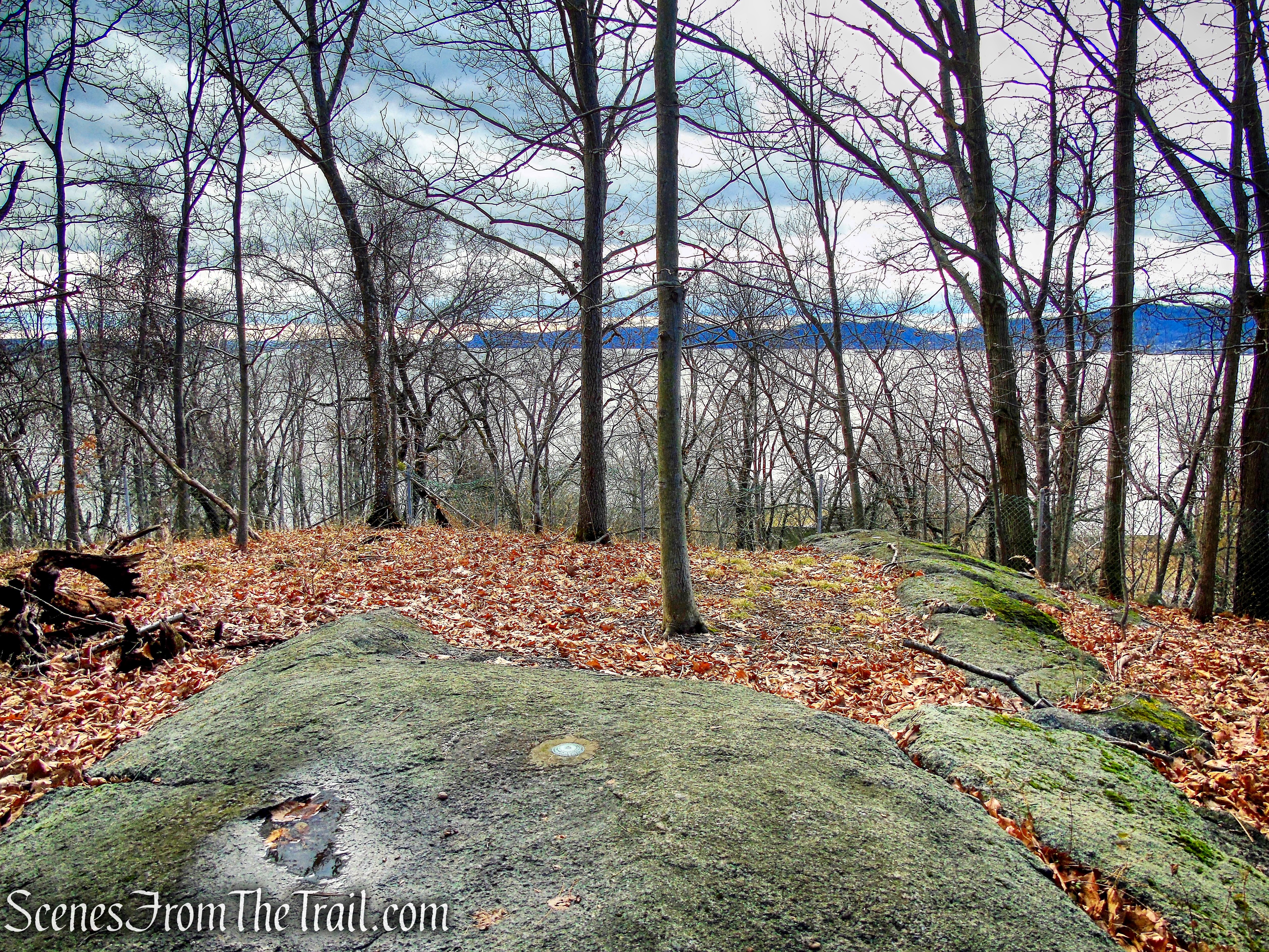 Unmarked Side Trail off of Trail 1 - George's Island Park