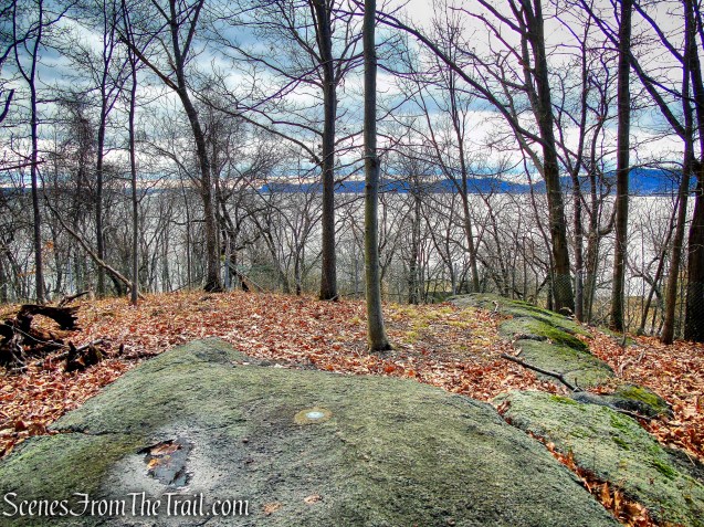 Unmarked Side Trail off of Trail 1 - George's Island Park