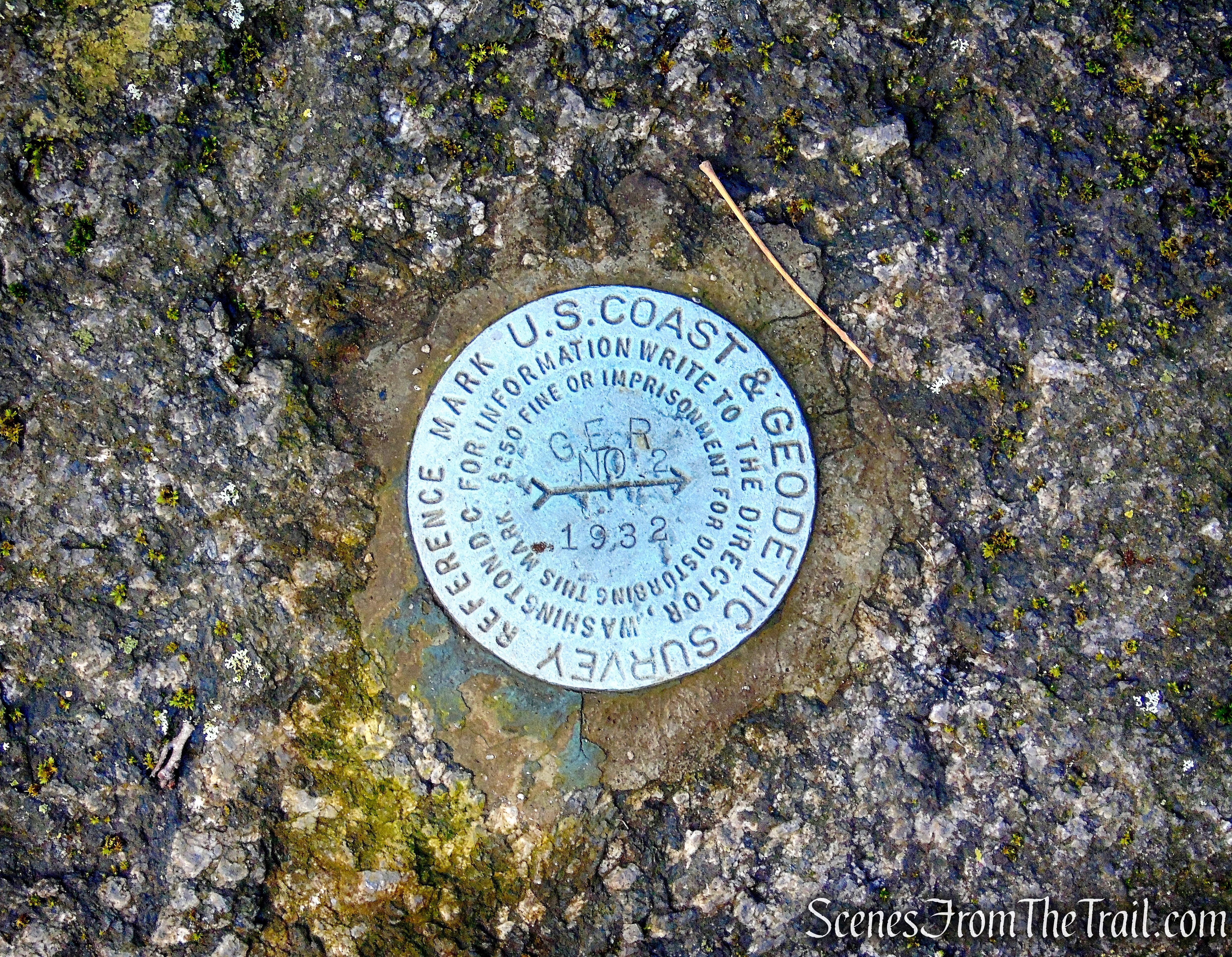Unmarked Side Trail off of Trail 1 - George's Island Park
