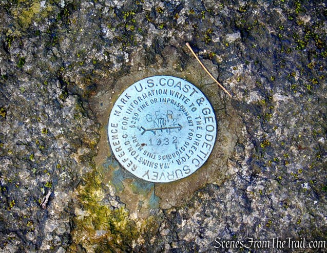 Unmarked Side Trail off of Trail 1 - George's Island Park