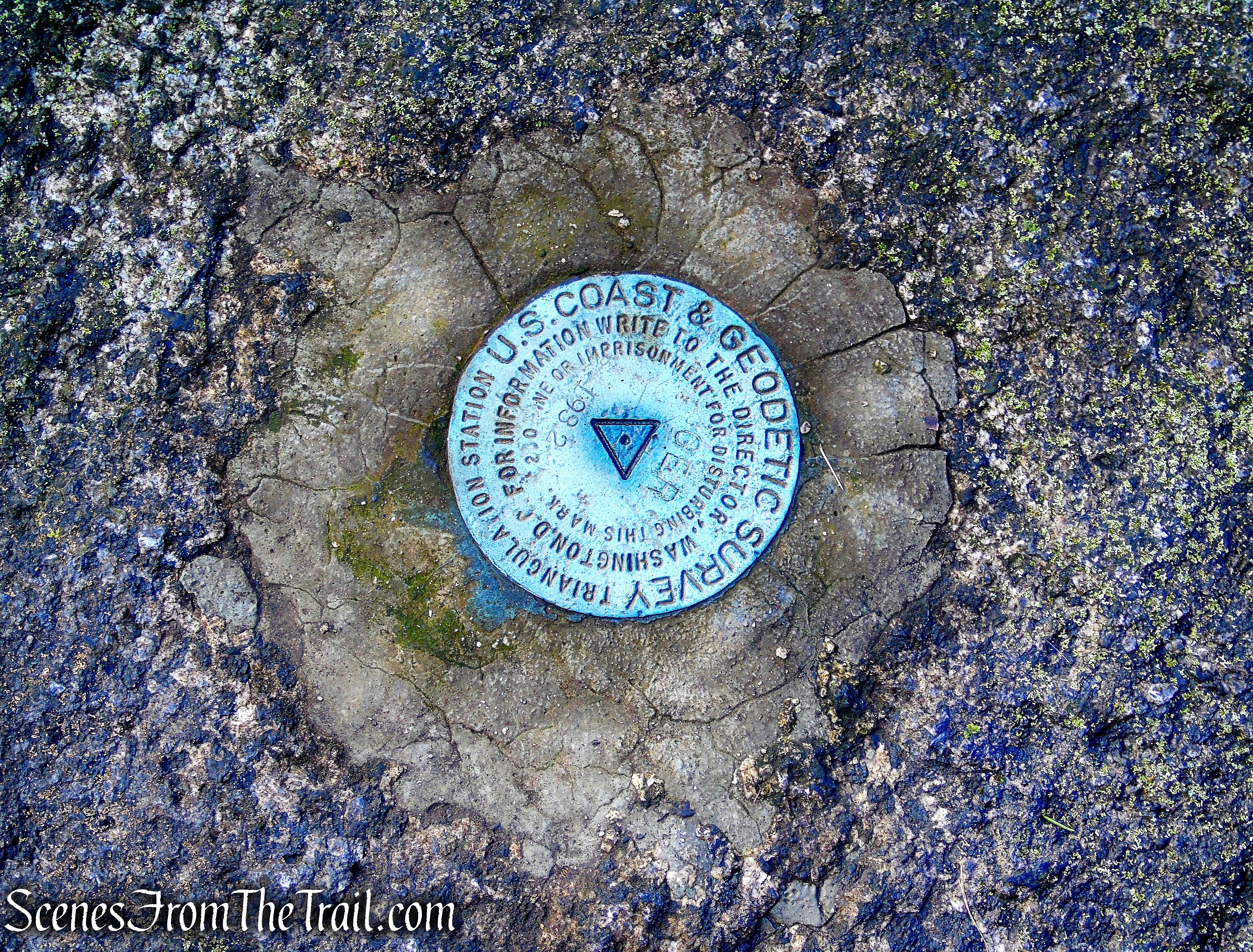 Unmarked Side Trail off of Trail 1 - George's Island Park