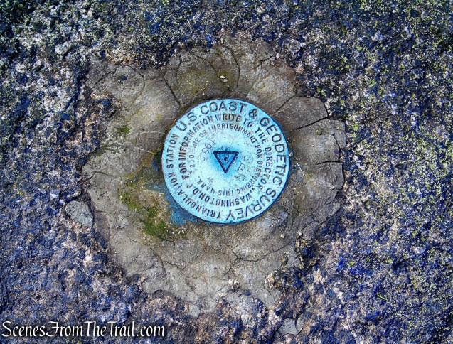 Unmarked Side Trail off of Trail 1 - George's Island Park