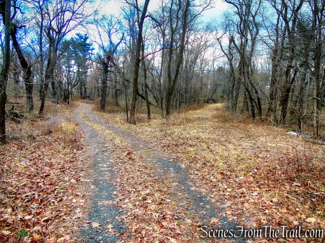 Unmarked Side Trail off of Trail 1 - George's Island Park