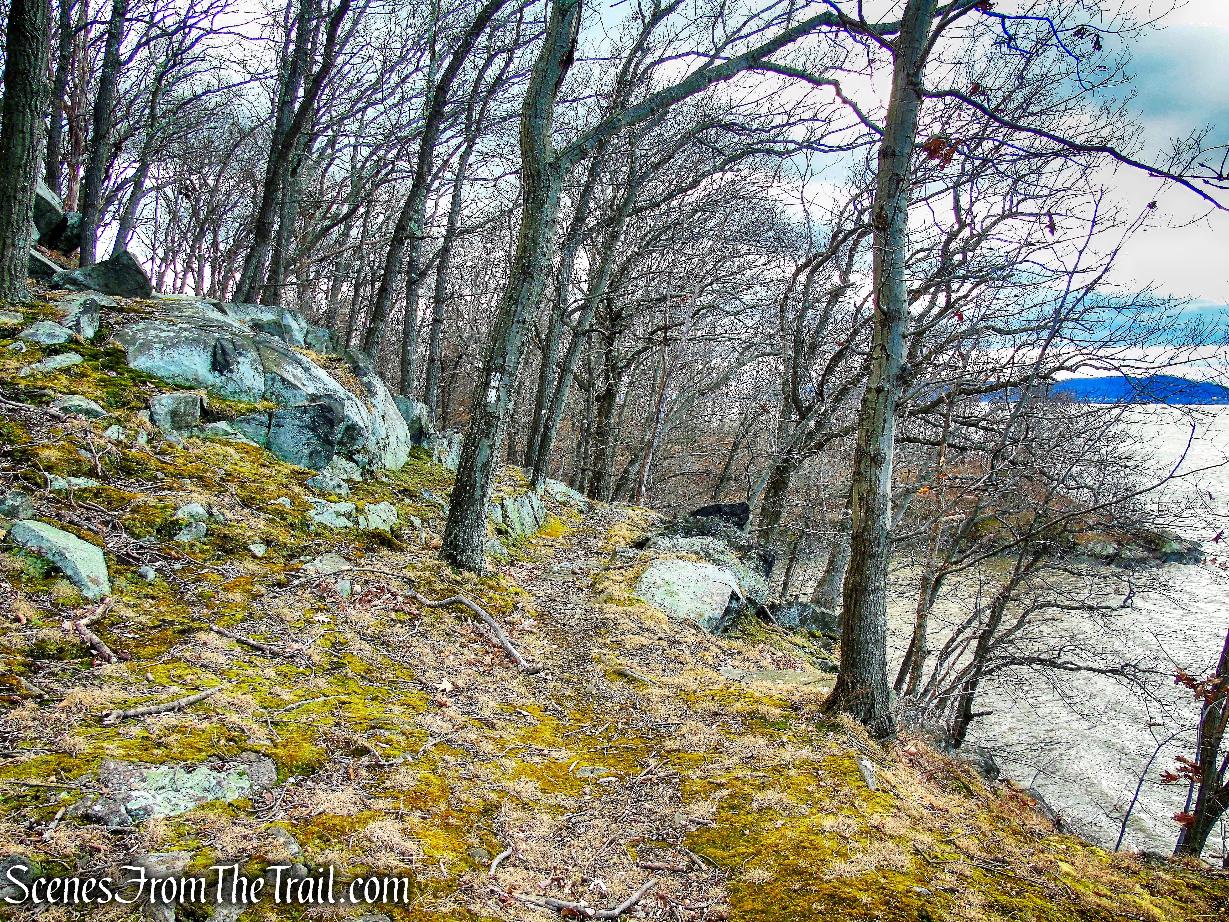 Trail 1 - George's Island Park