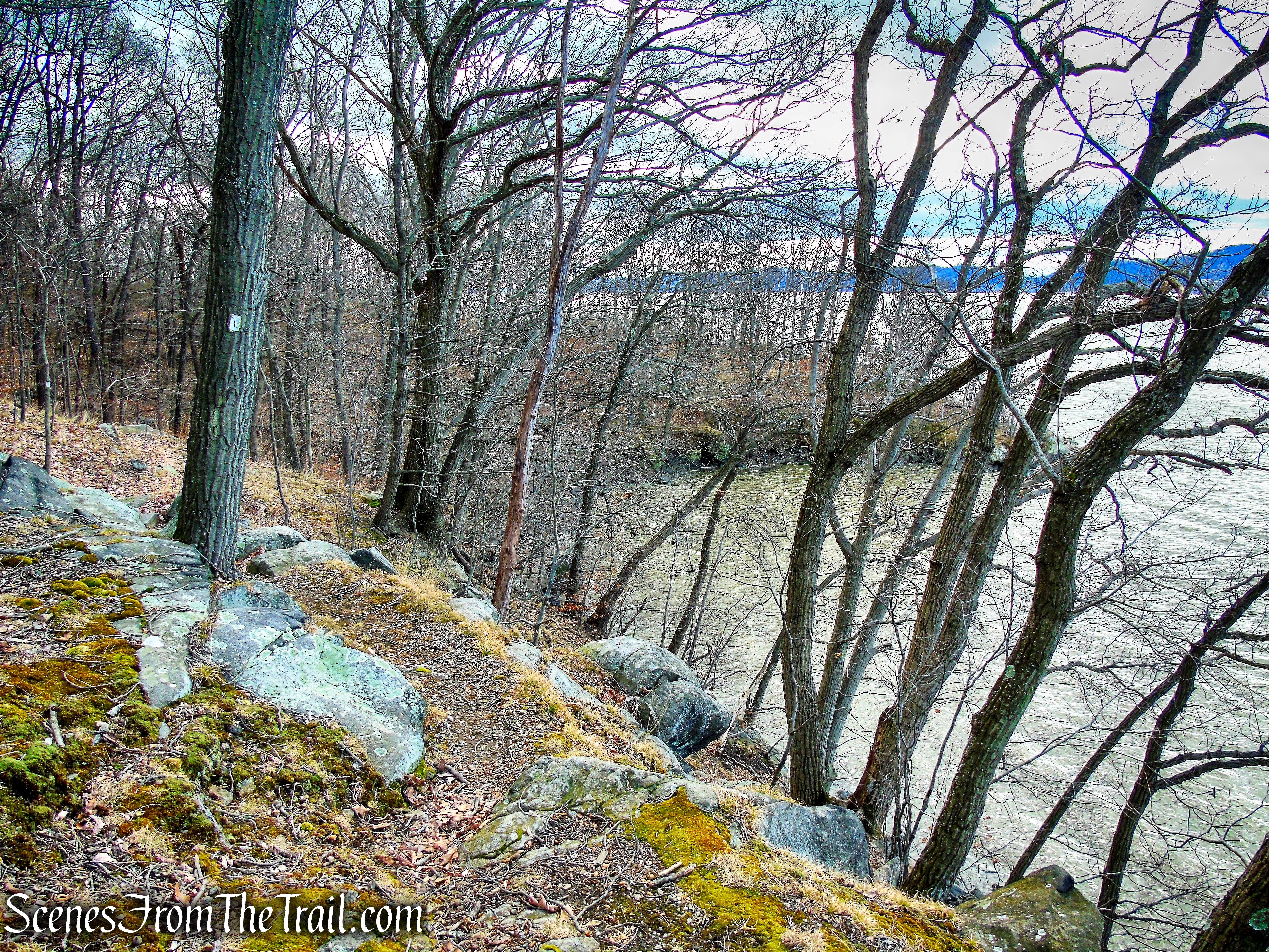 Trail 1 - George's Island Park