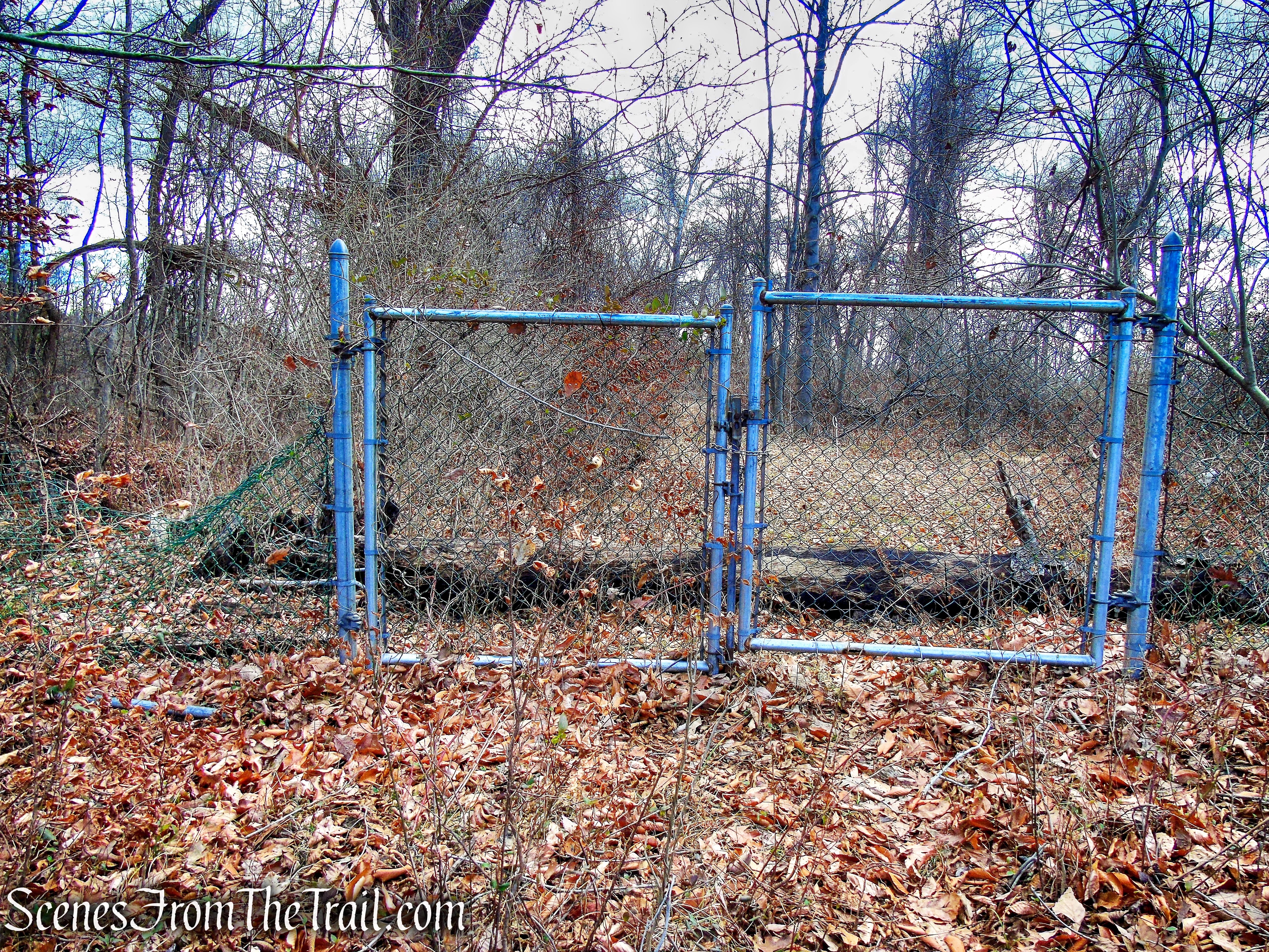 Trail 1 - George's Island Park