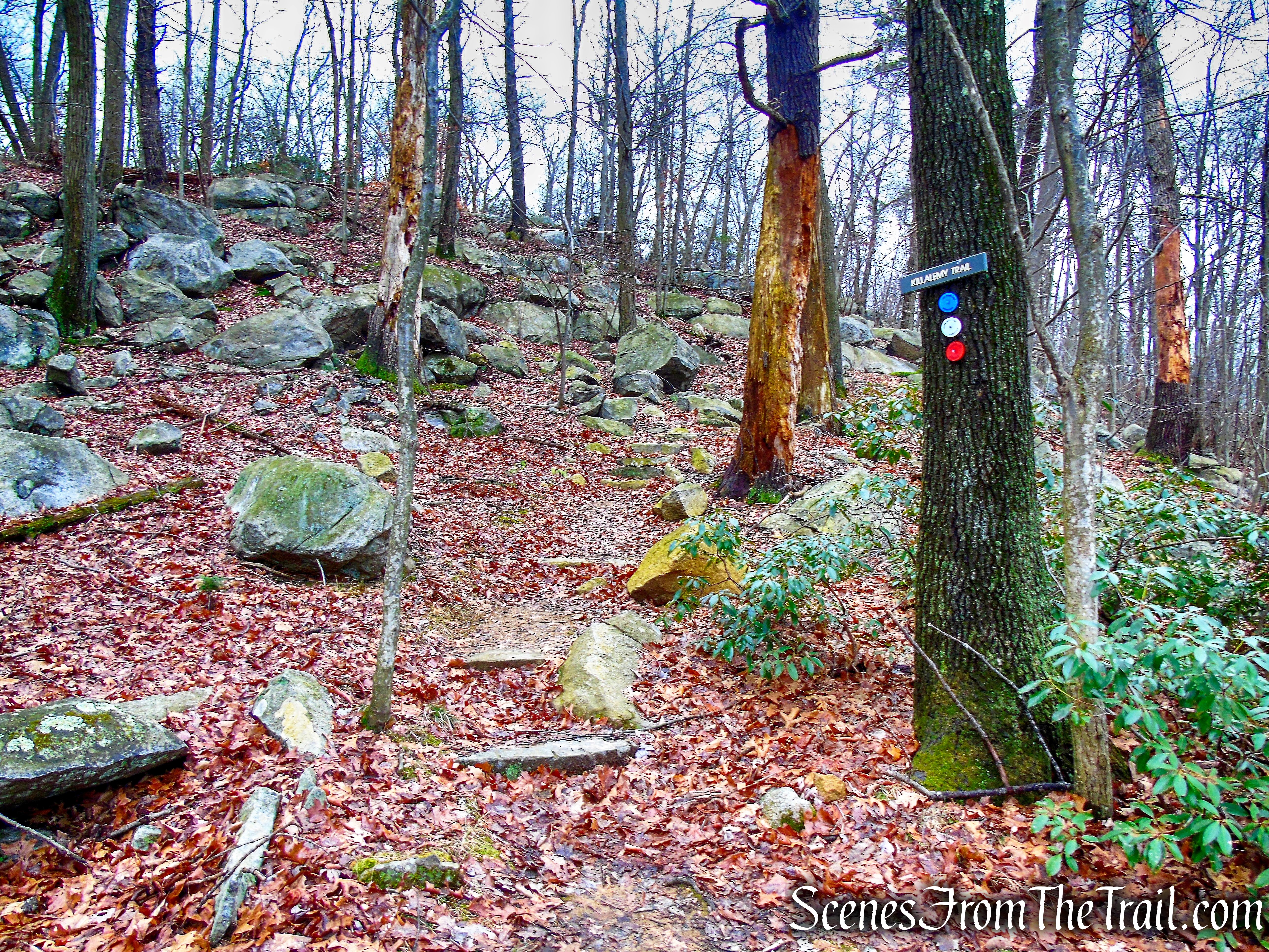Killalemy Trail - MANITOGA
