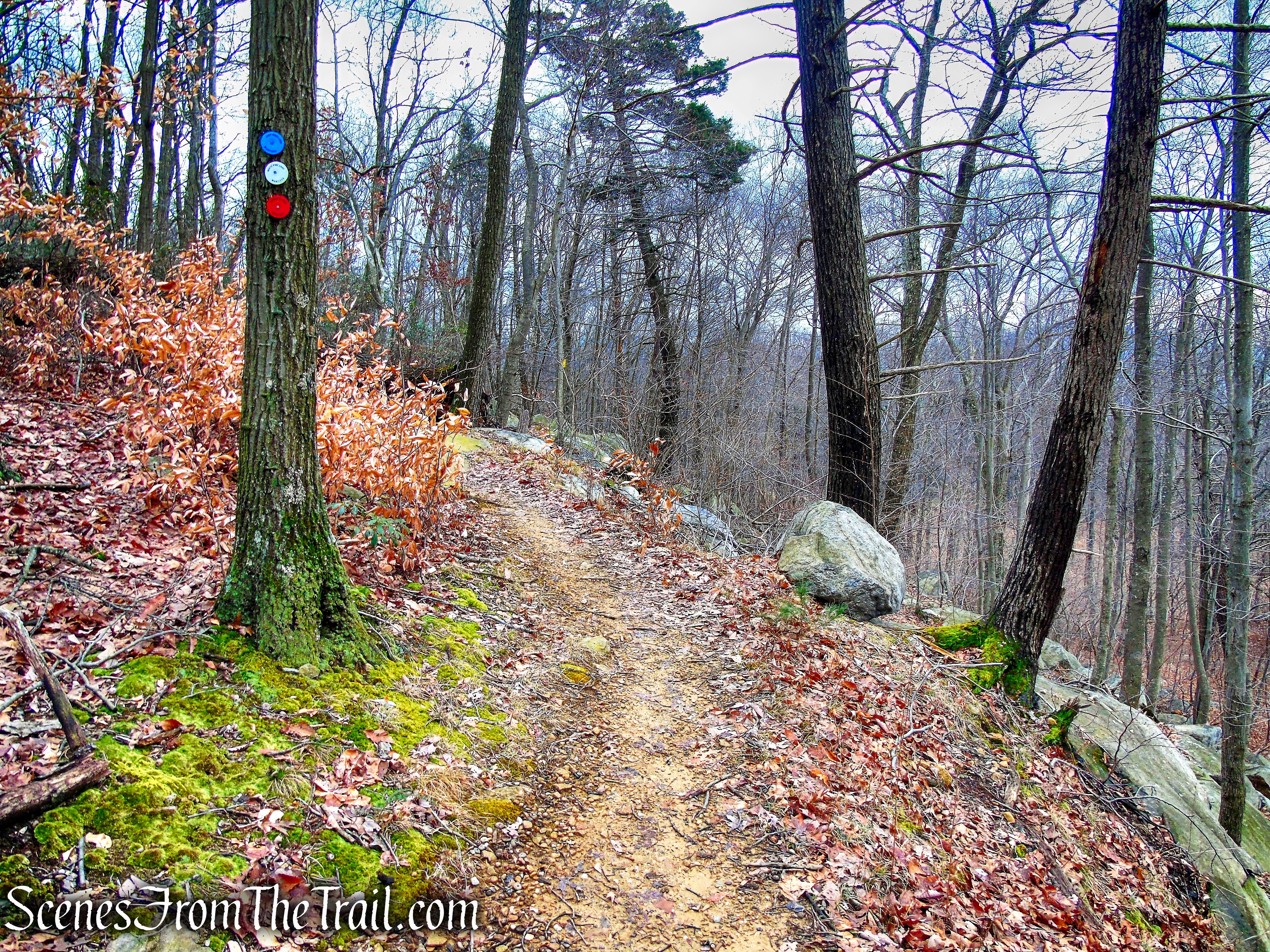 Killalemy Trail - MANITOGA