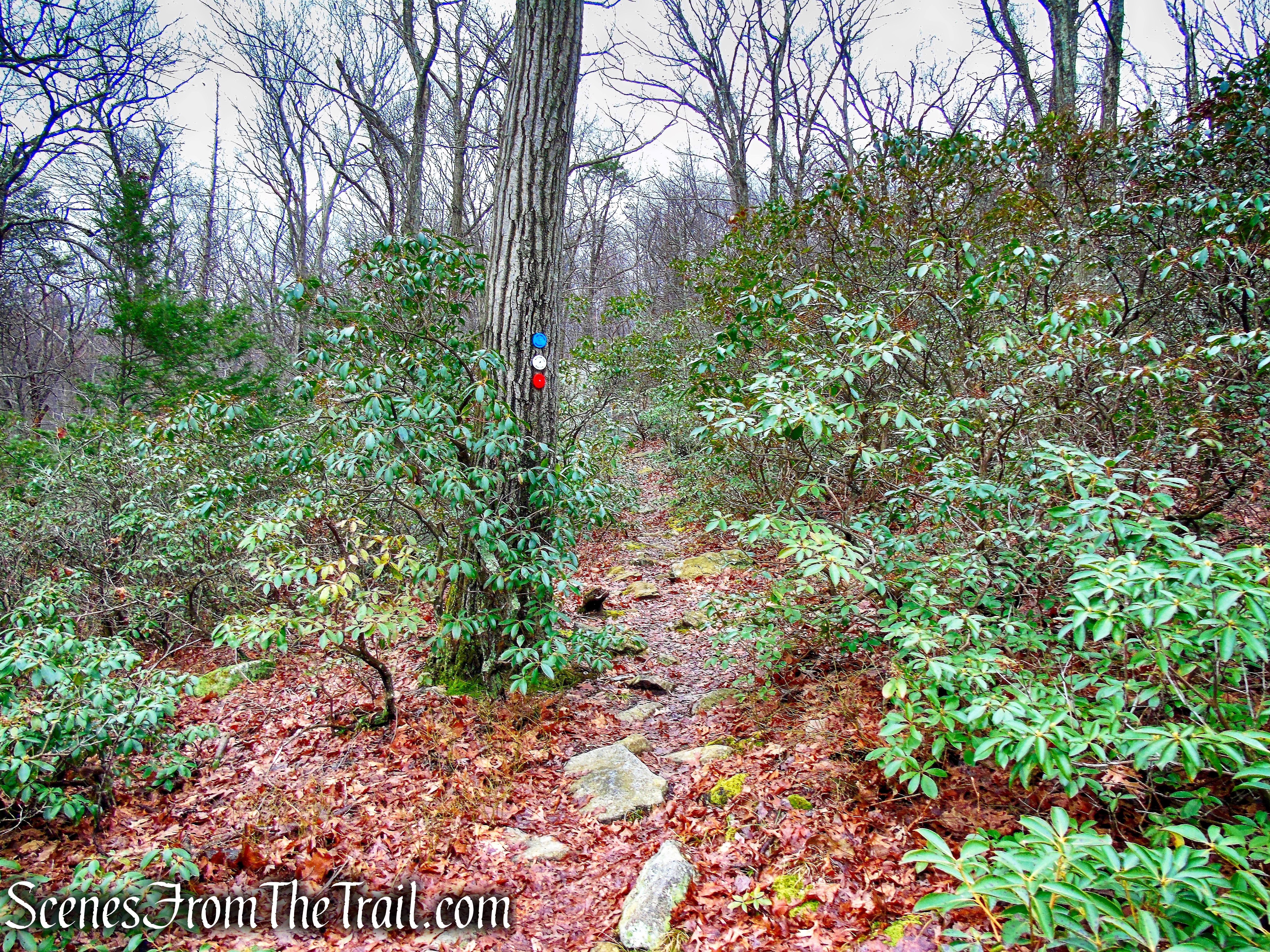 Killalemy Trail - MANITOGA