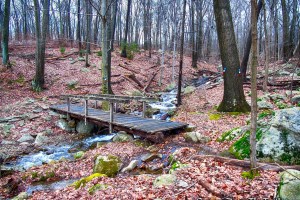 railing bridge - MANITOGA