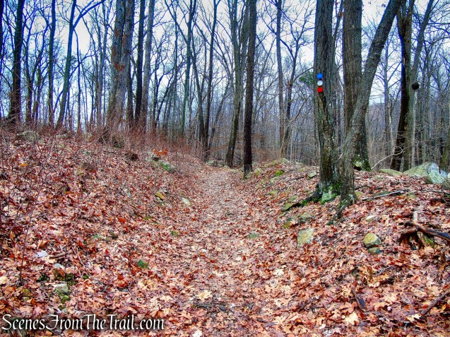 Killalemy Trail - MANITOGA
