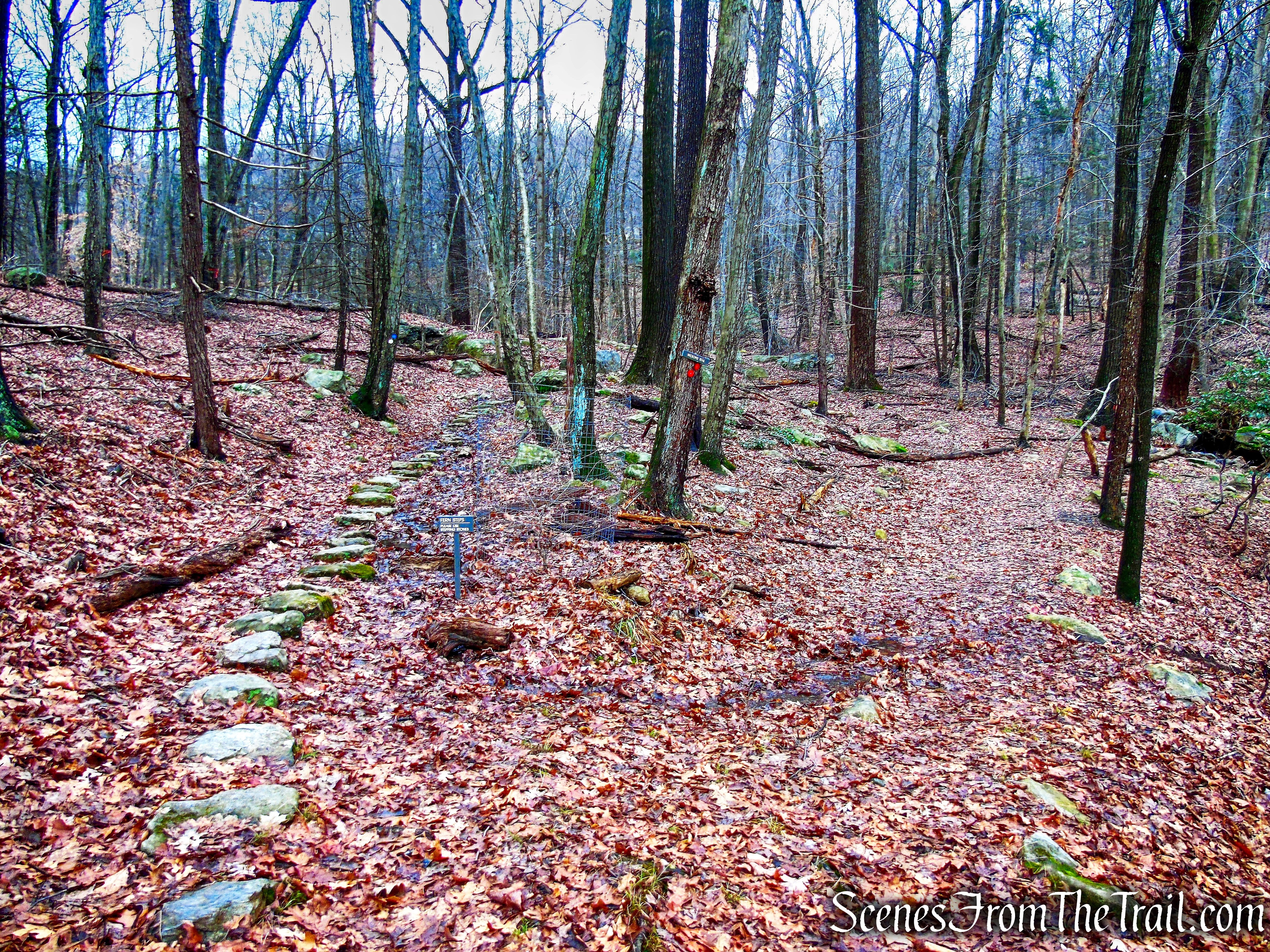 stay left when Red Trail leaves to the right