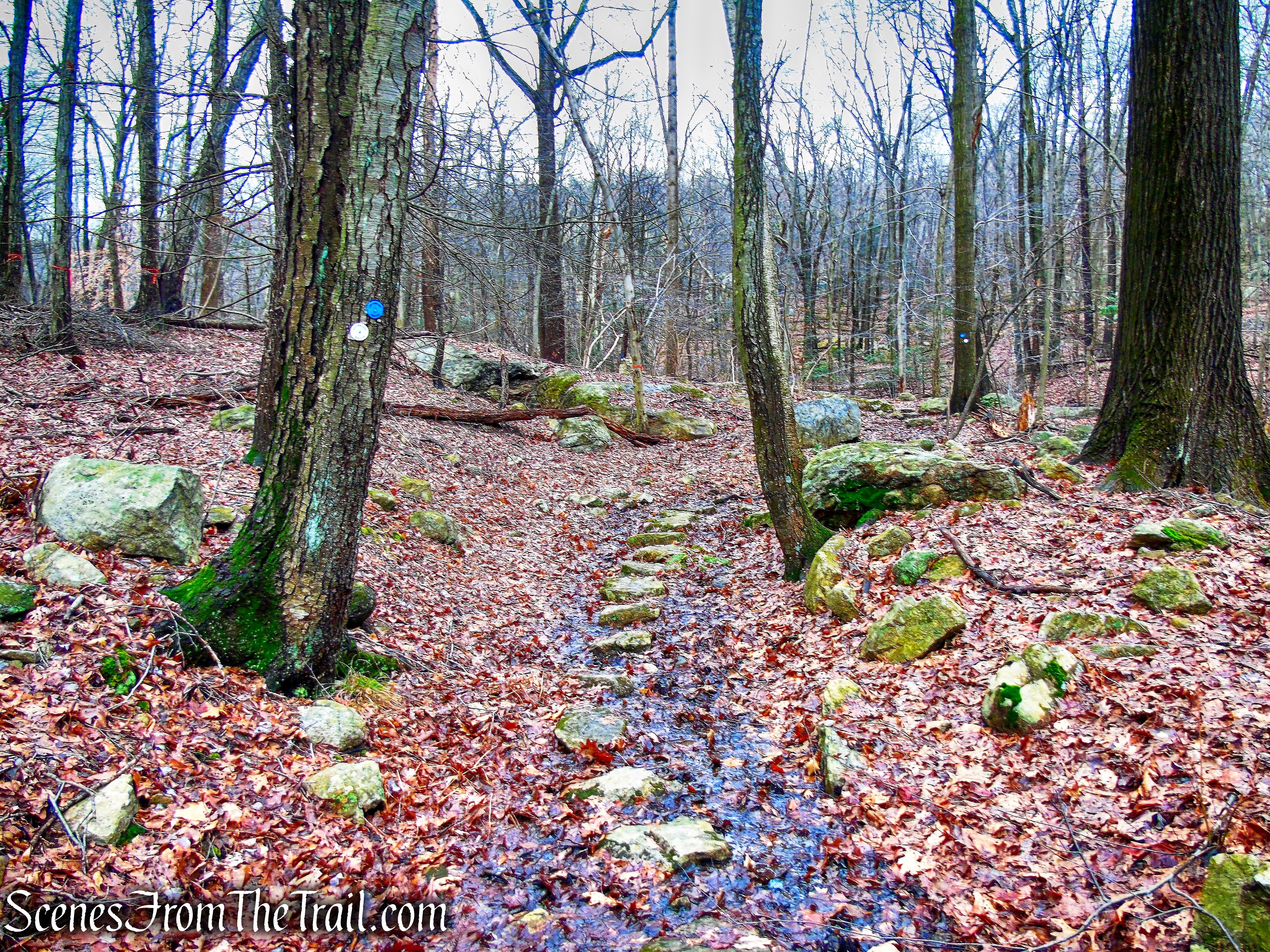 now following white and blue blazes