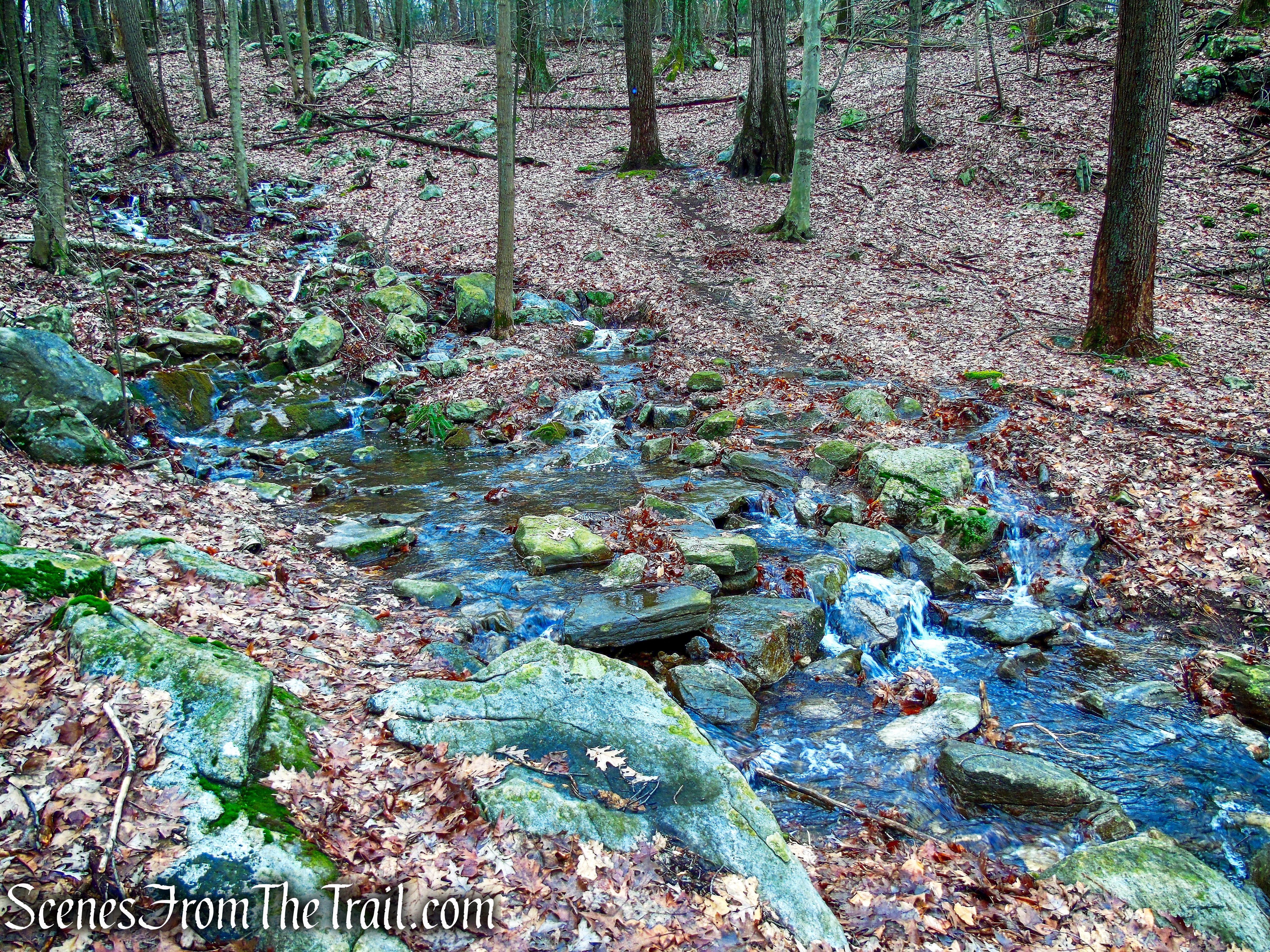 Lost Pond Trail Loop