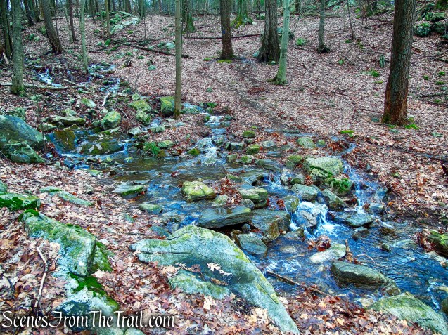 Lost Pond Trail Loop
