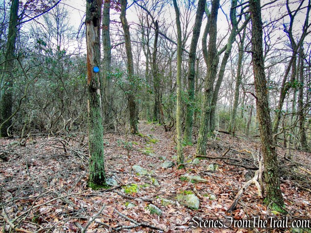 Lost Pond Trail Loop