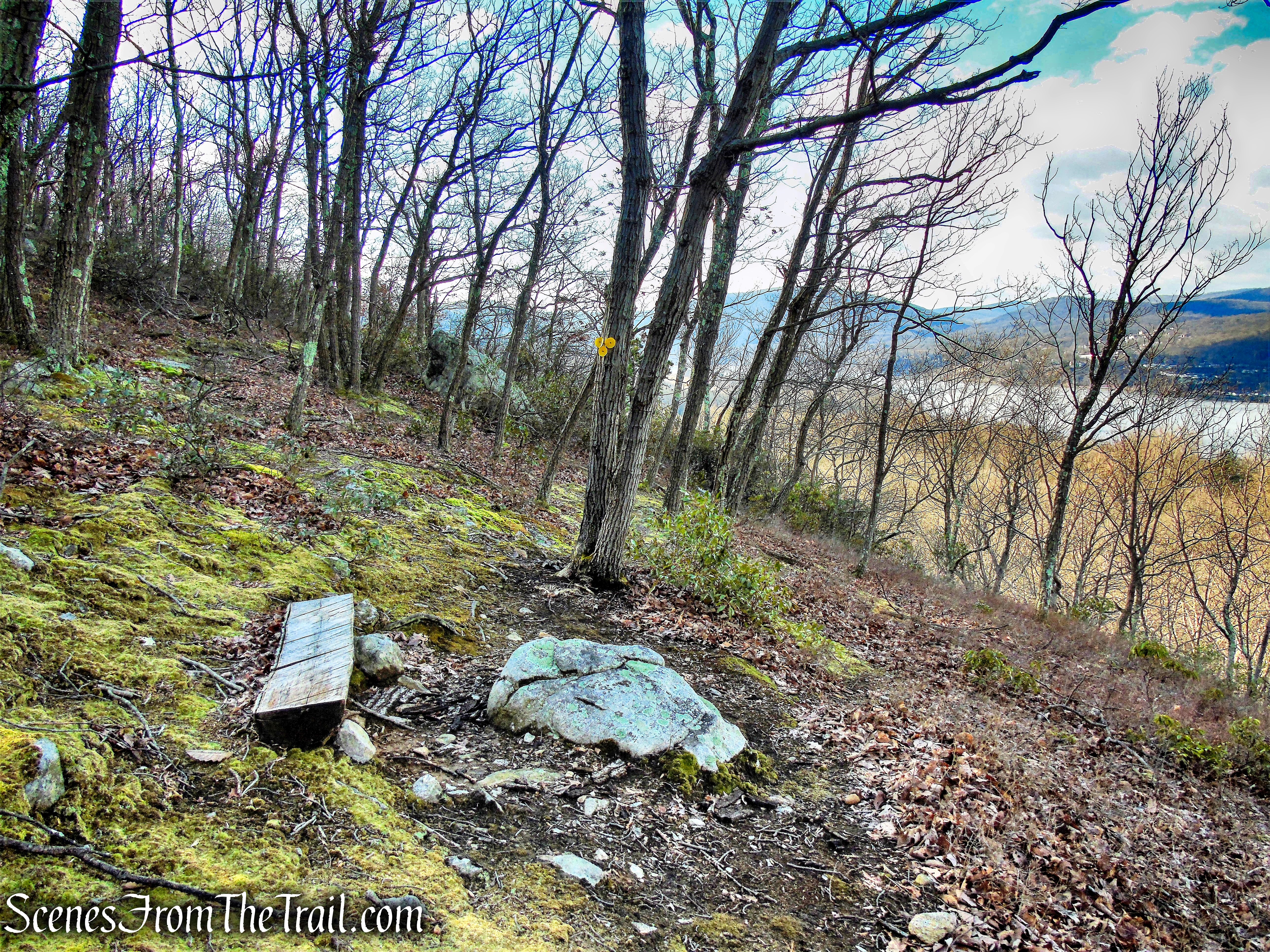 Chestnut Oak Ridge Osio