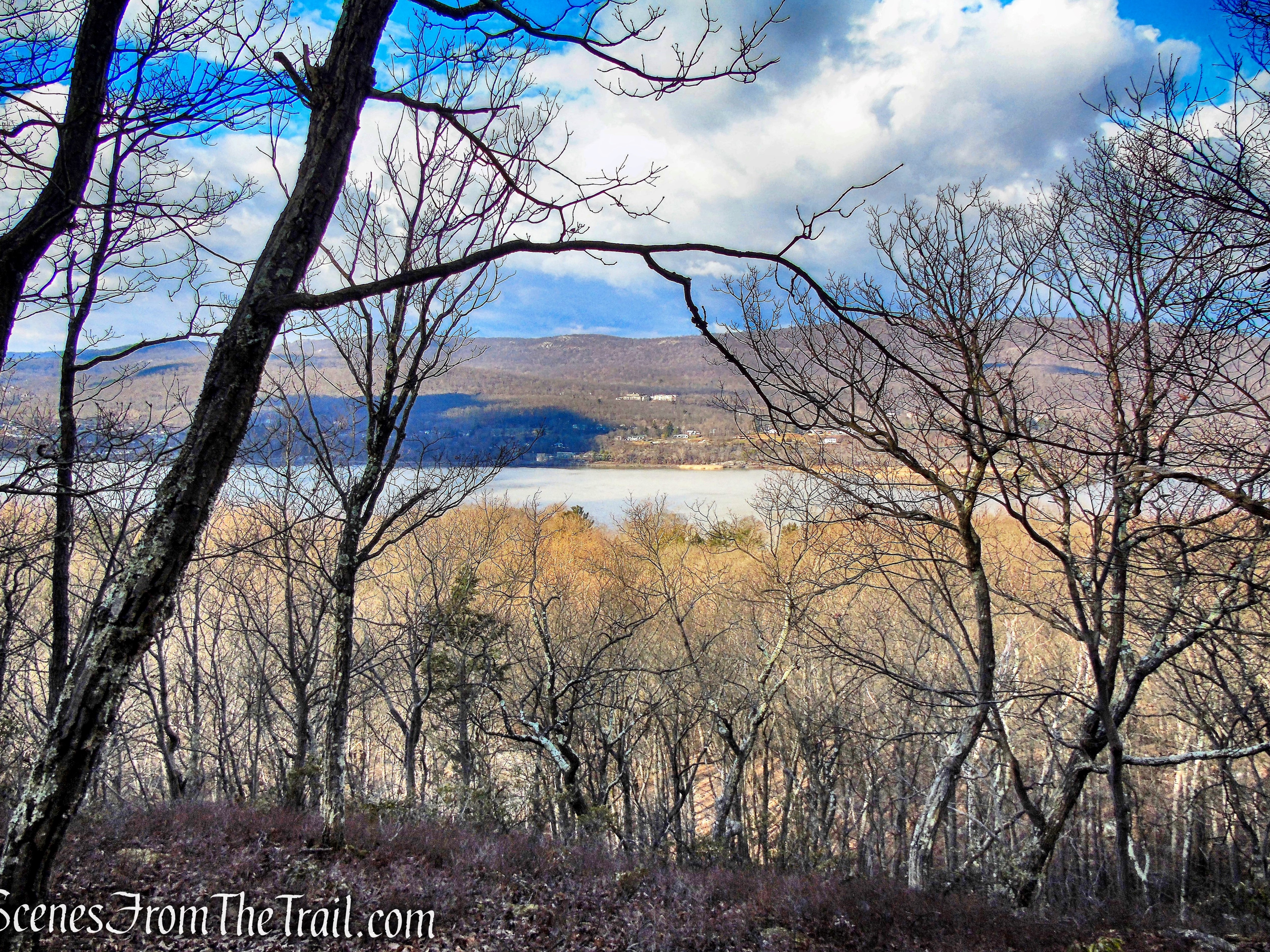 Chestnut Oak Ridge Osio