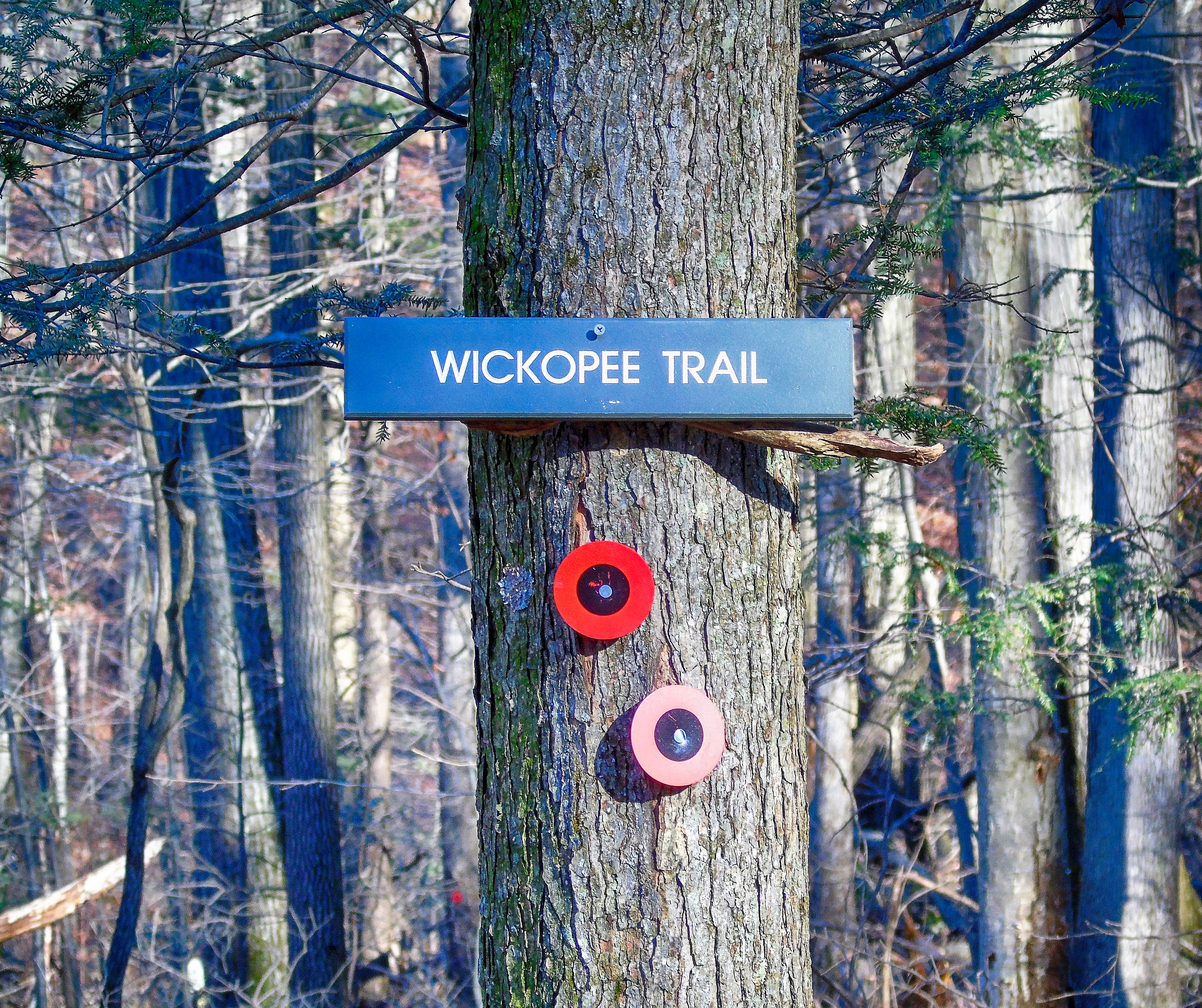 Wickopee Trail