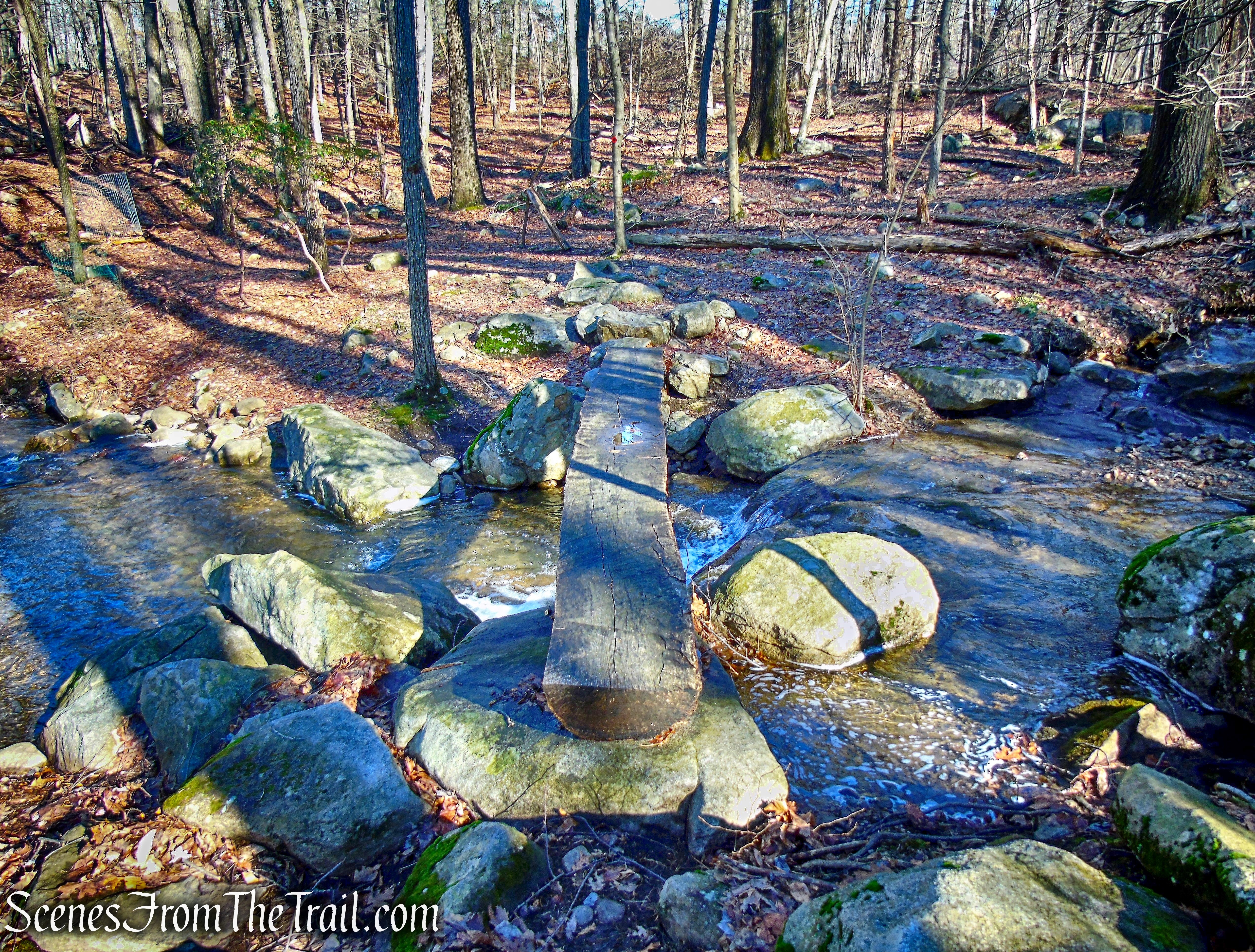 log bridge - Wickopee Trail