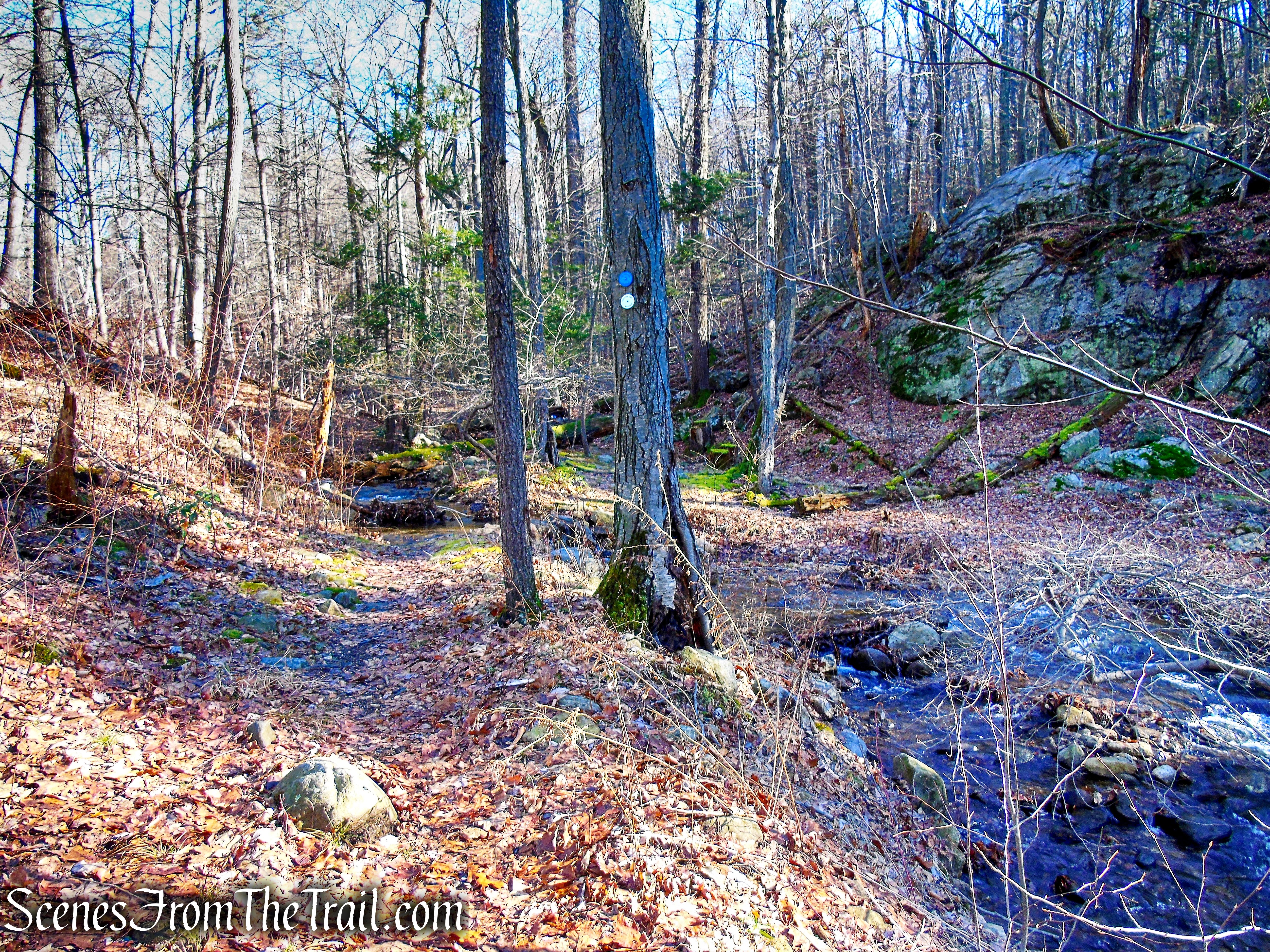 now following white and blue blazes