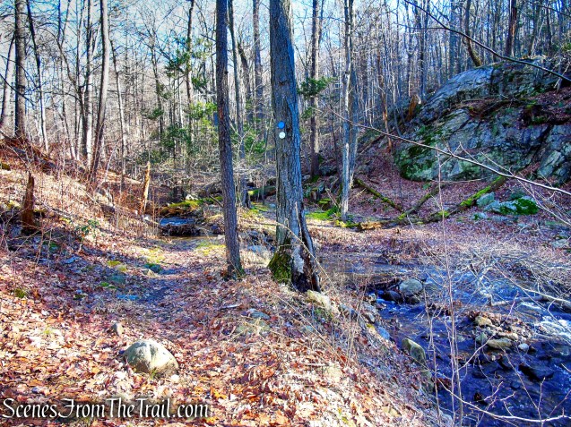 now following white and blue blazes