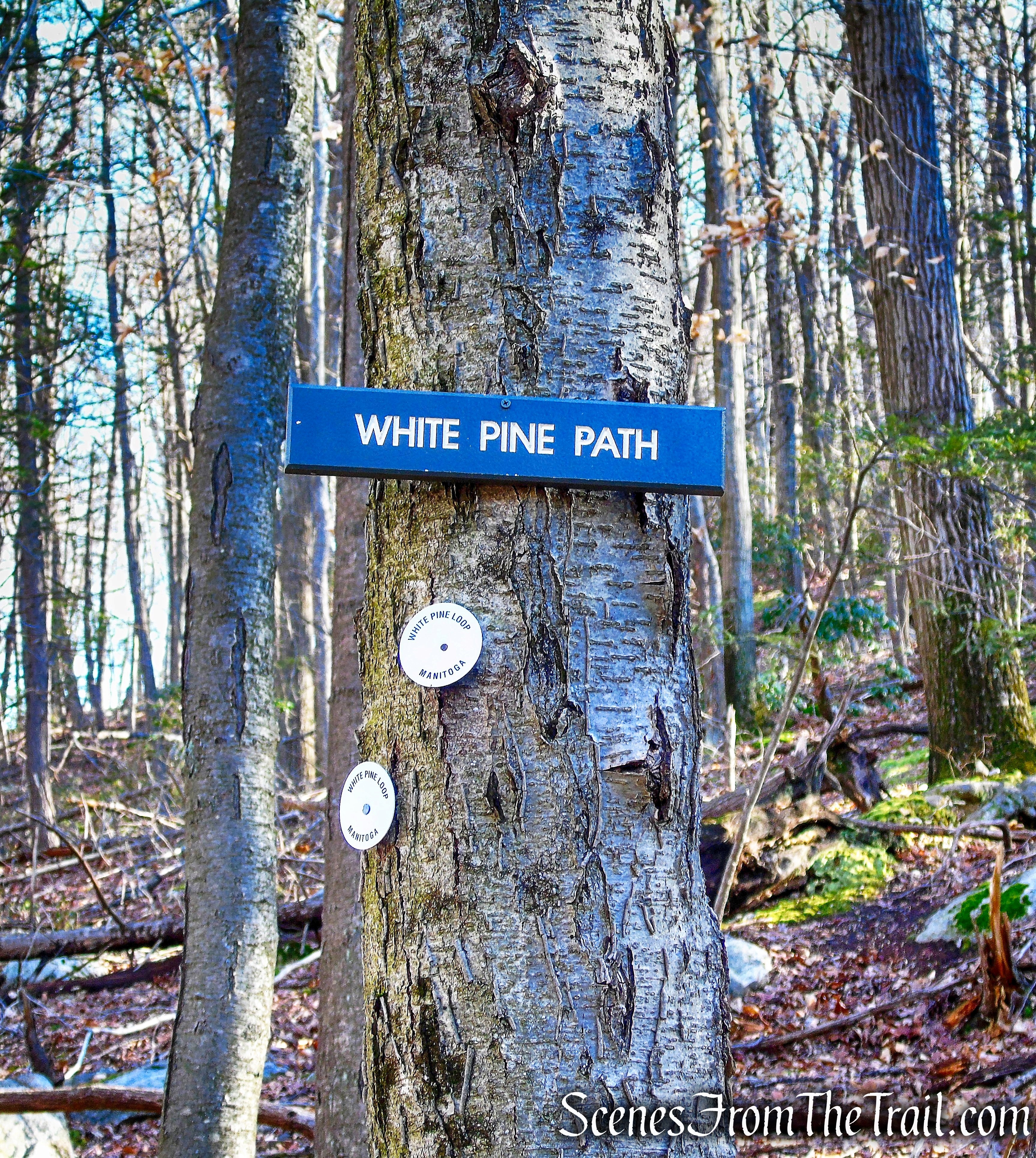 White Pine Trail
