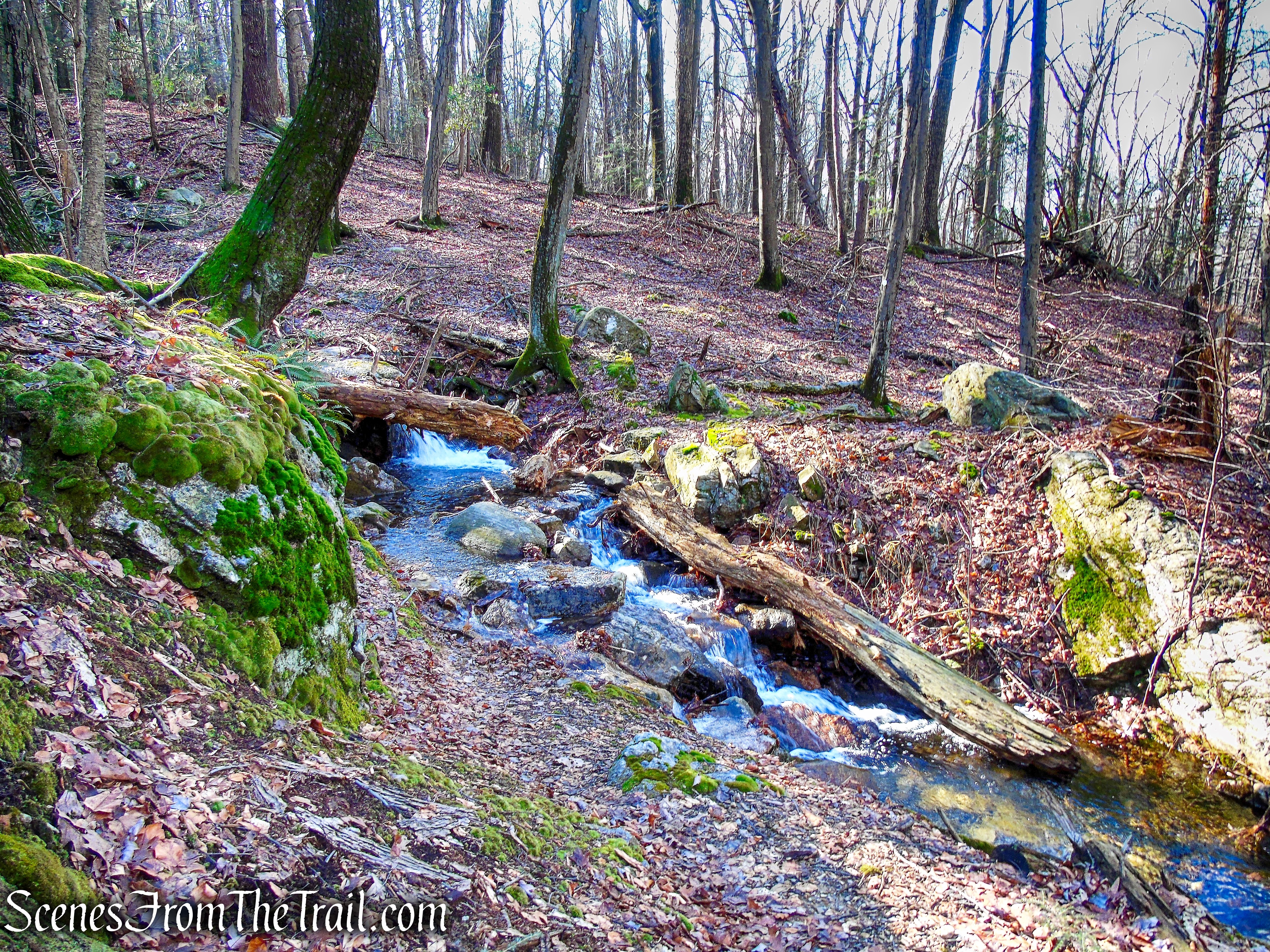 stream crossing - White Pine Trail