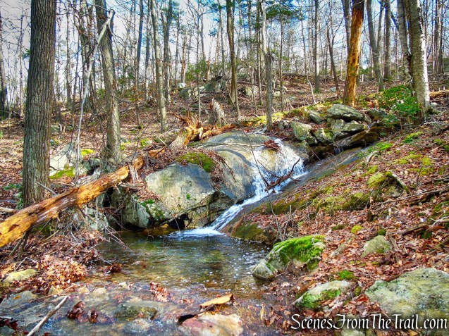 Deer Pool - White Pine Trail