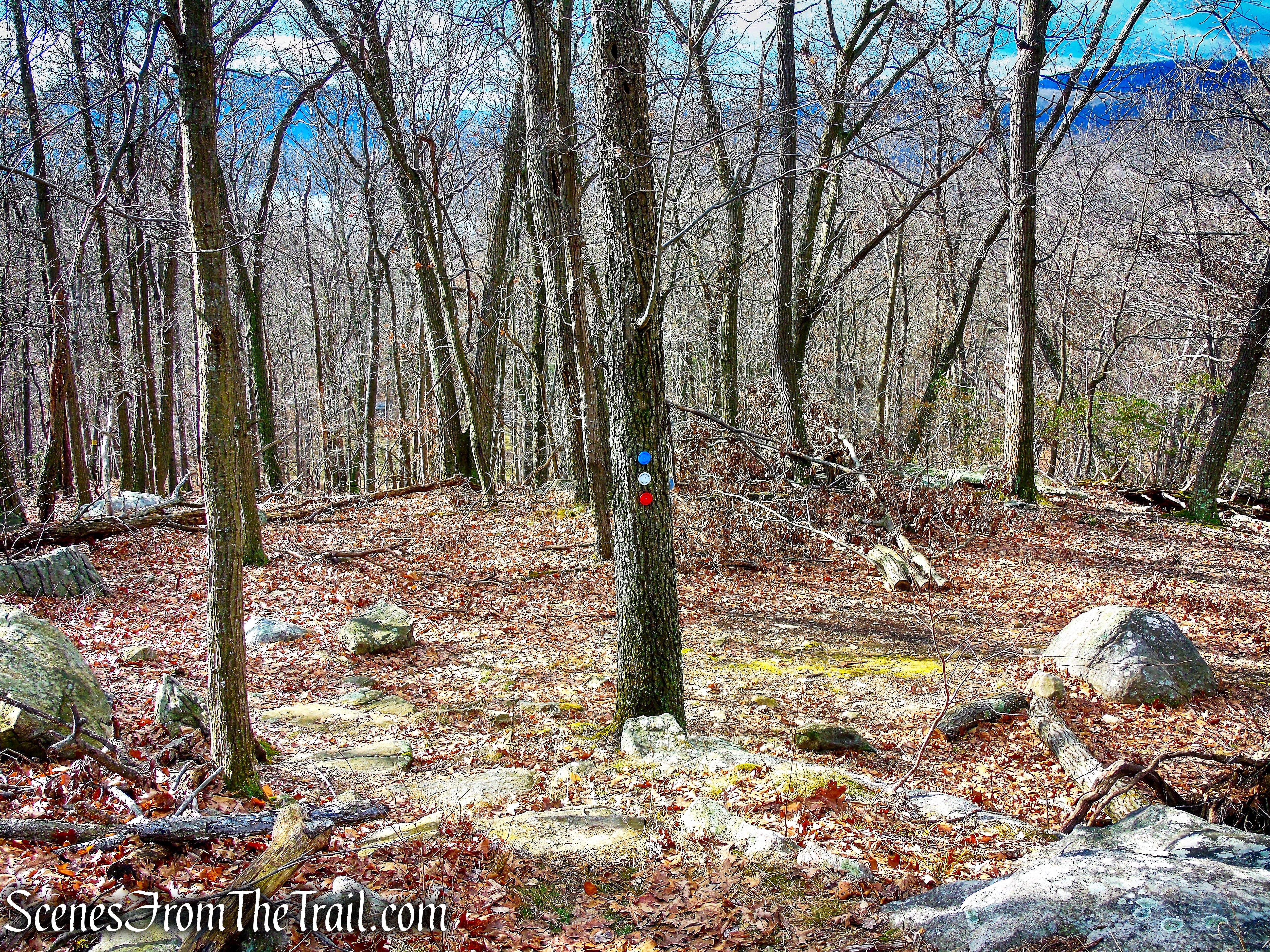 Upper Laurel Field Trail