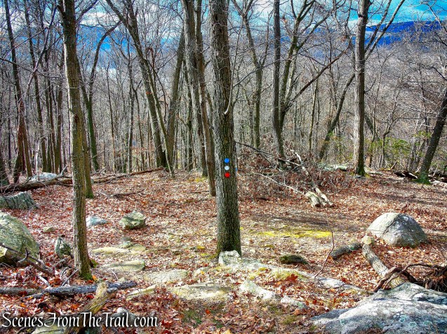 Upper Laurel Field Trail