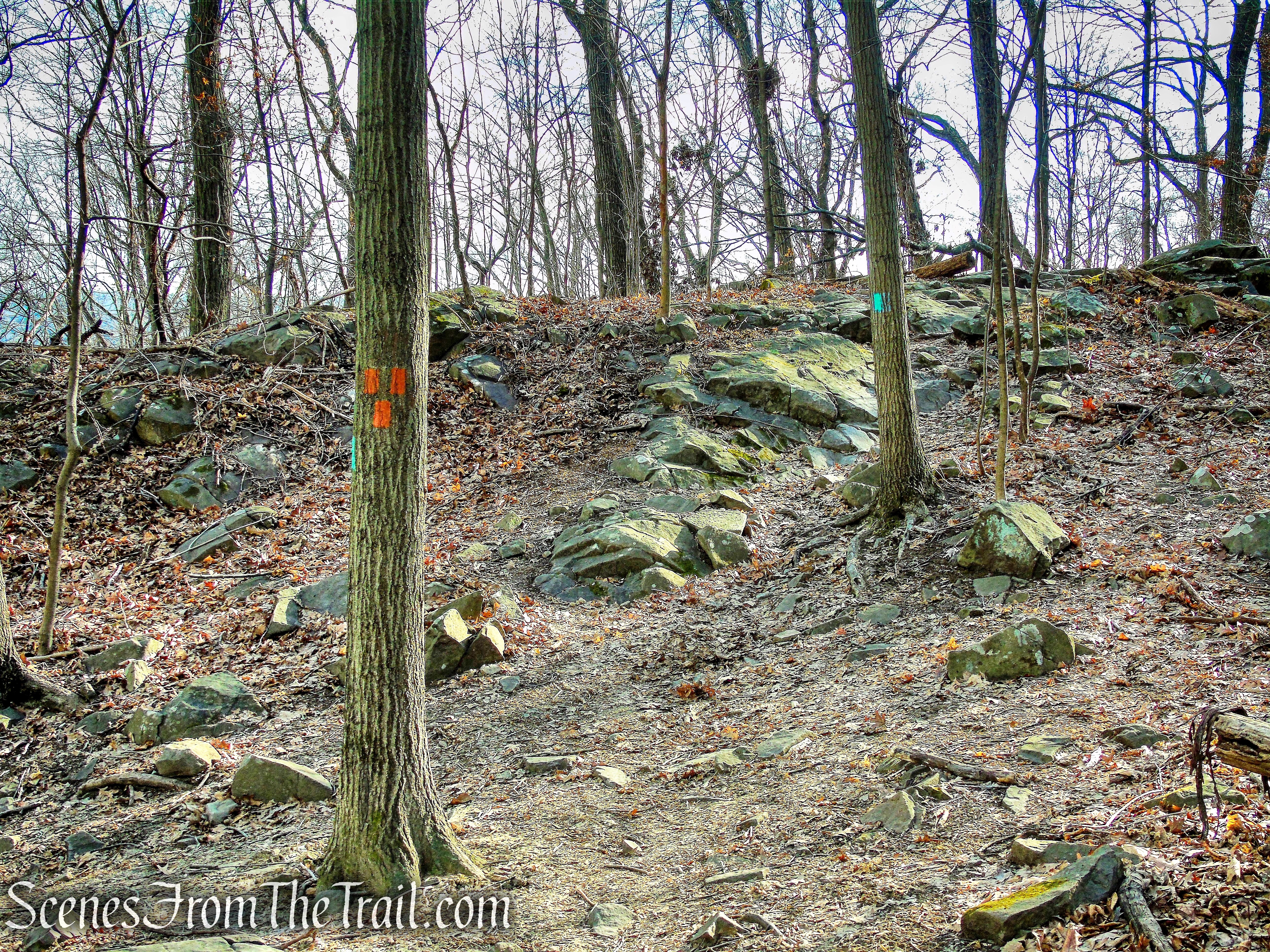 terminus of Interpretive Trail