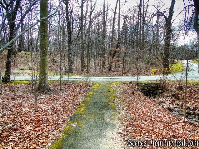 moss-covered paved path