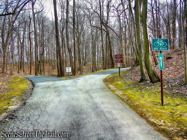 bear right at the fork, following the green “Bike Route” sign