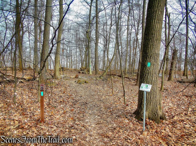 turn left on Long Path