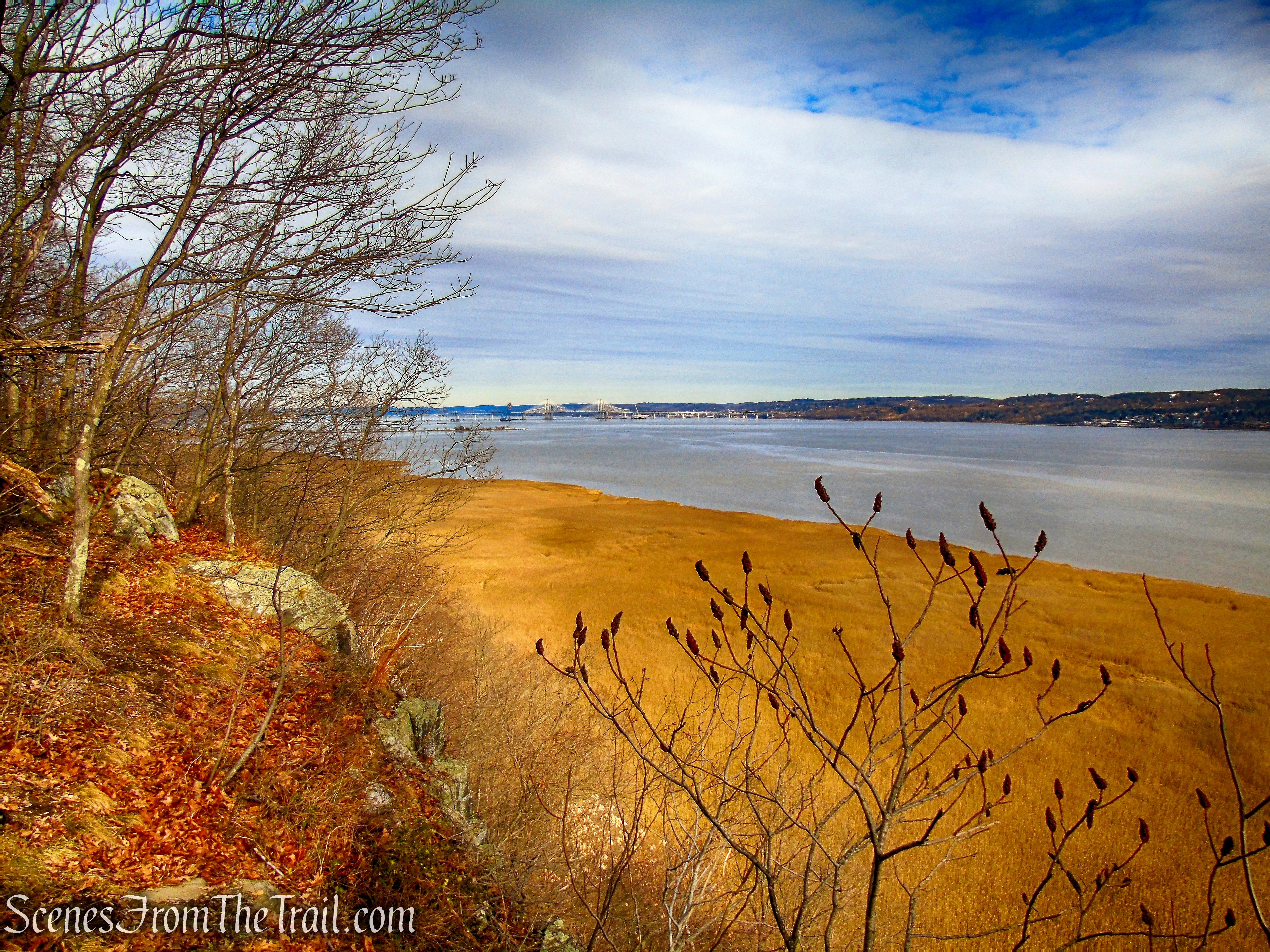 view from open rock ledge