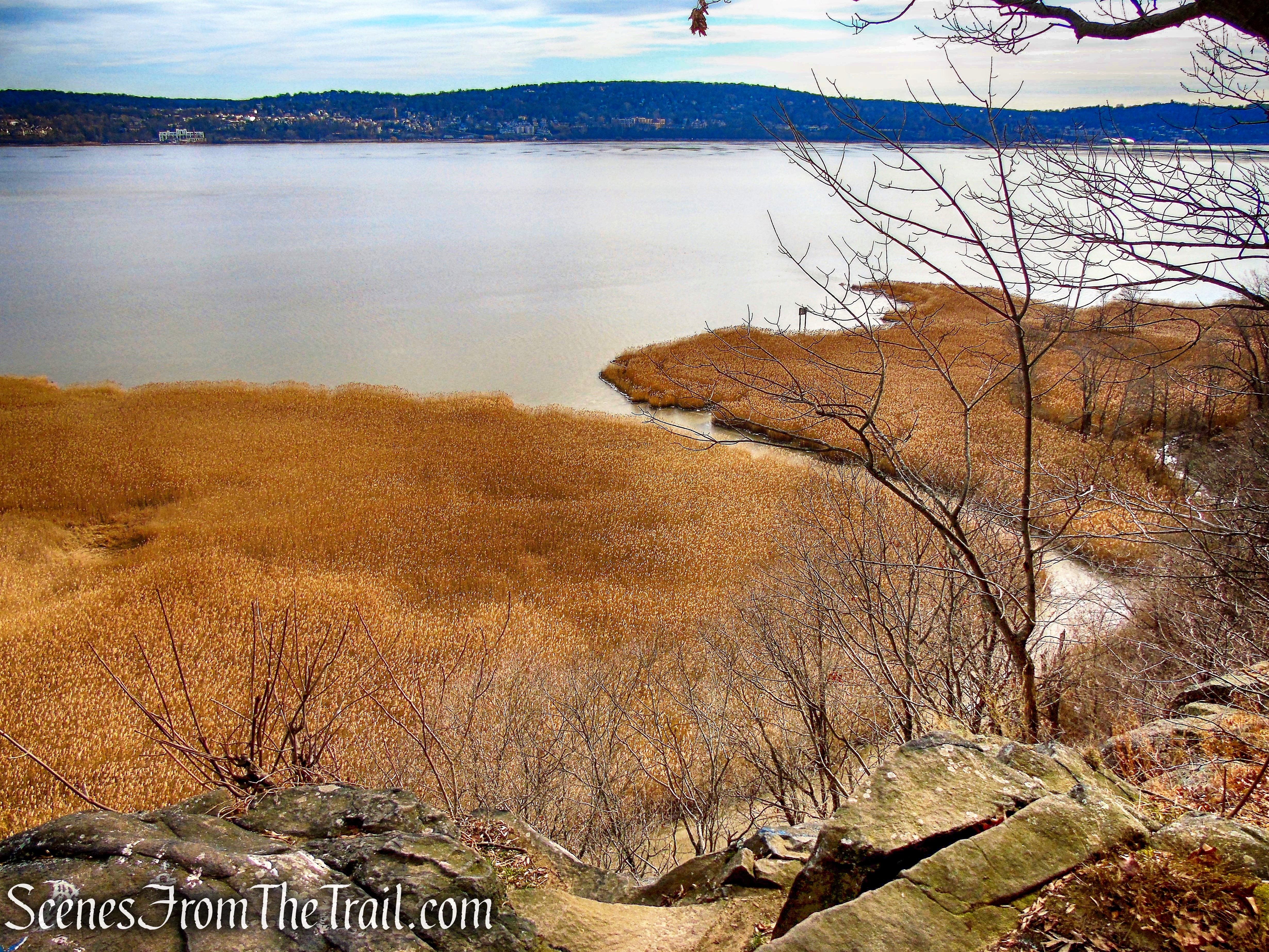 view from open rock ledge