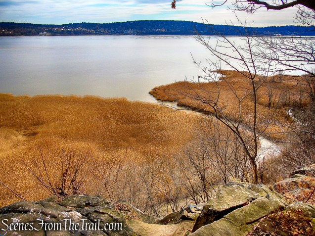 view from open rock ledge