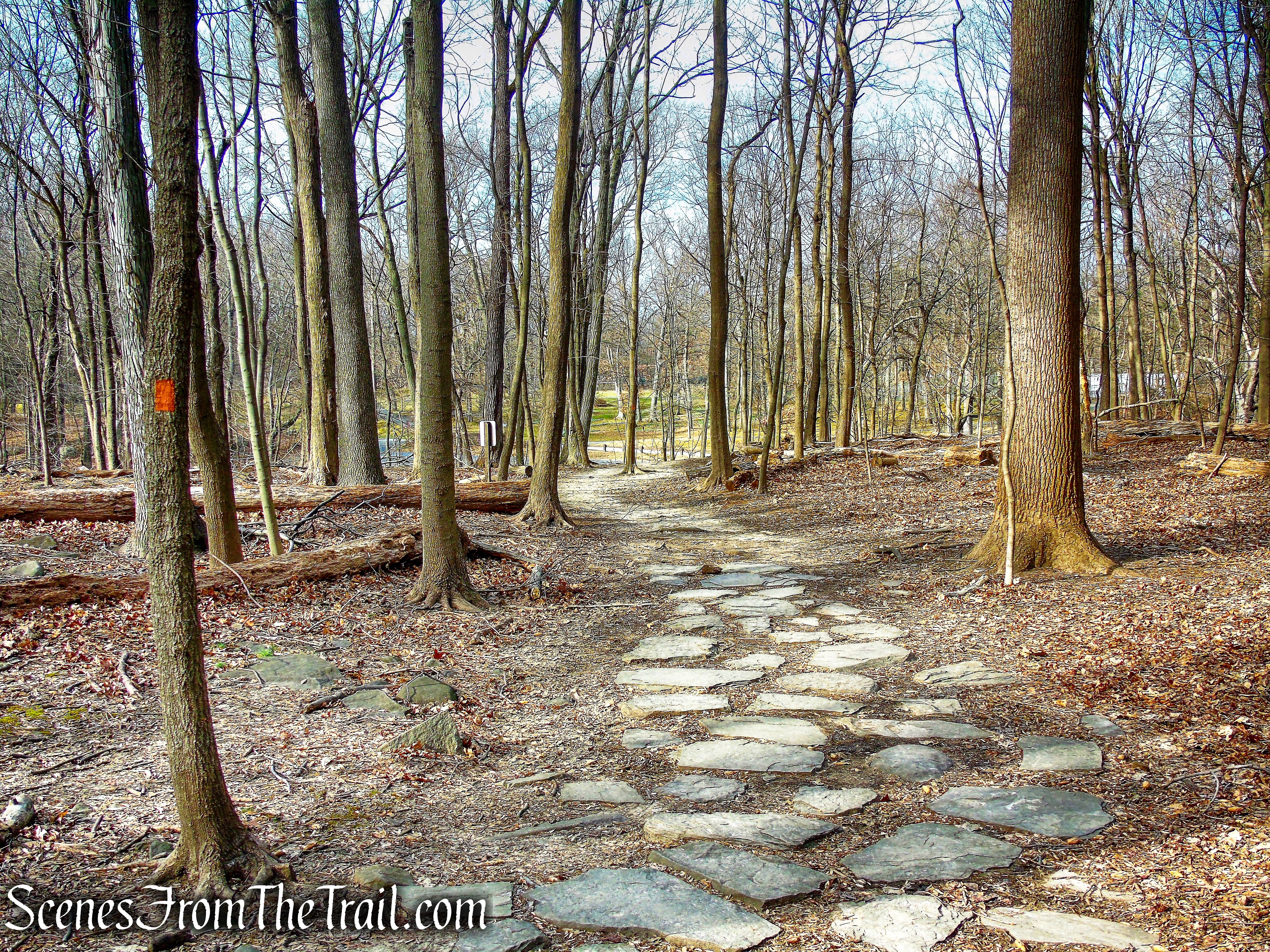 Interpretive Trail