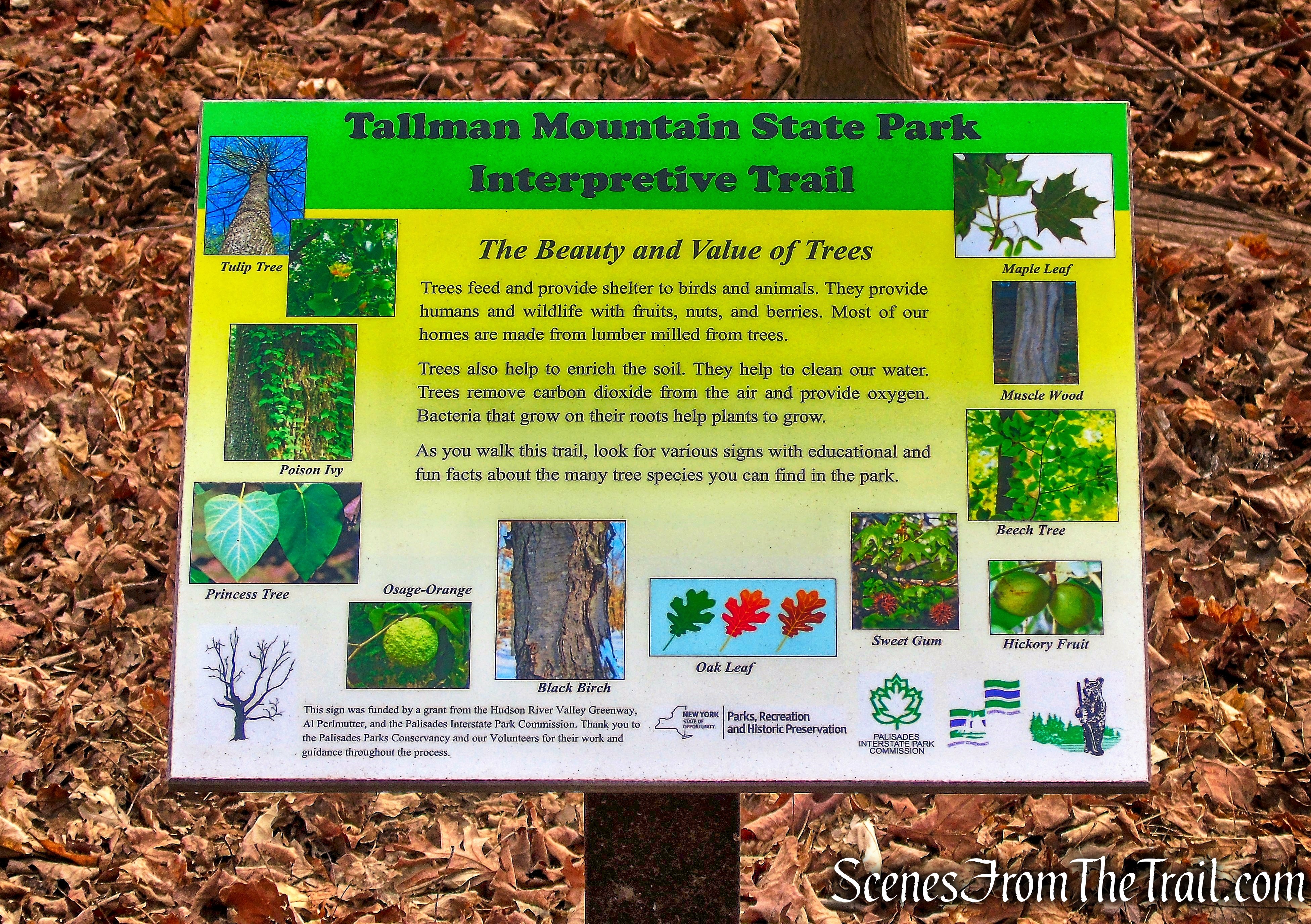 Interpretive Trail