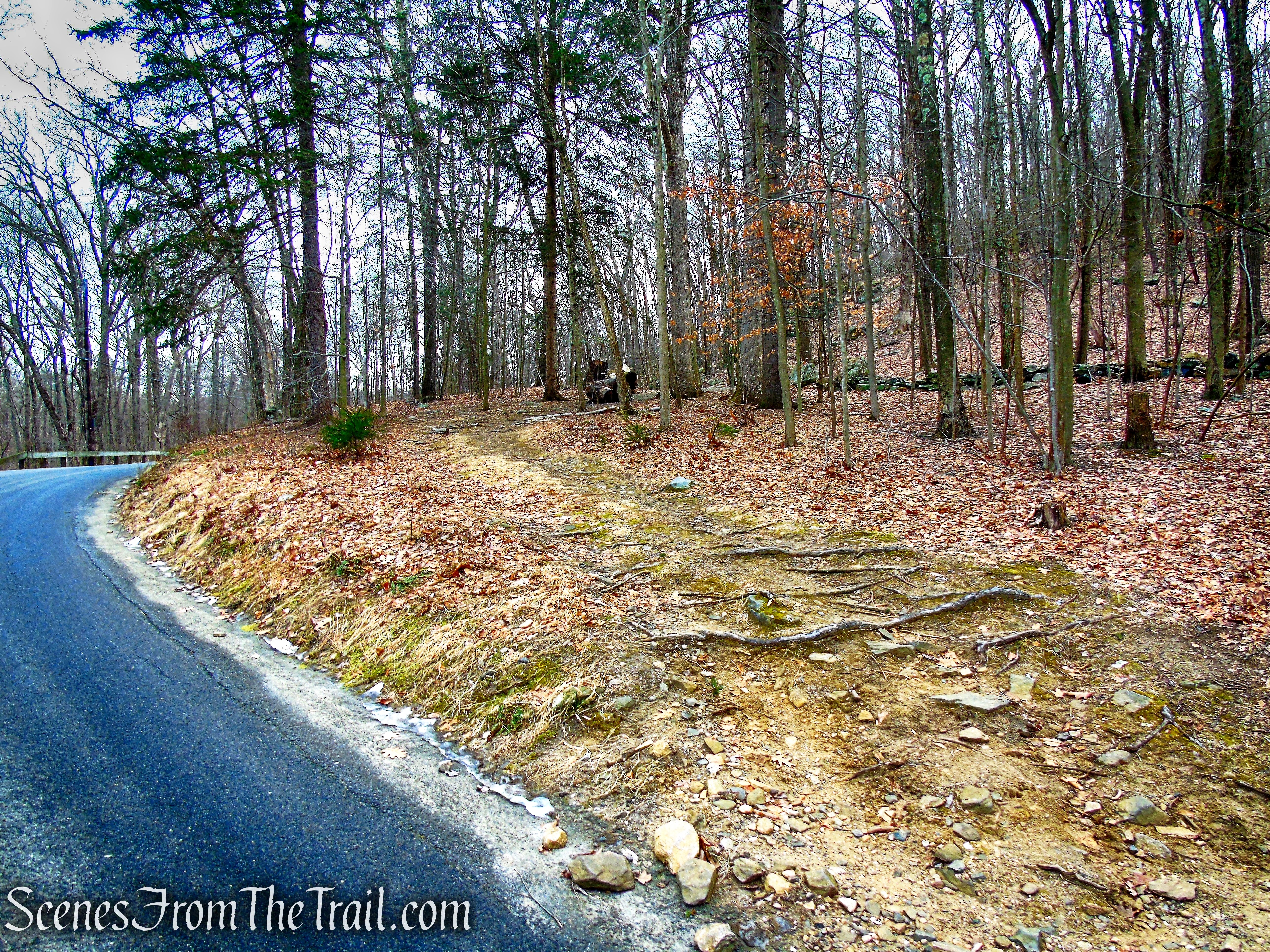 unmarked path to the White Trail