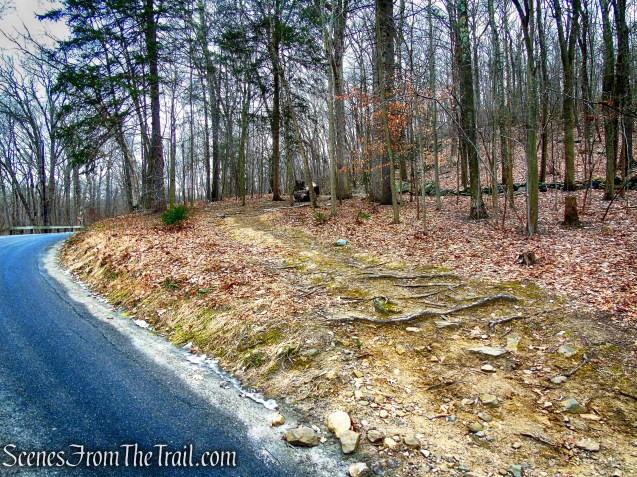 unmarked path to the White Trail