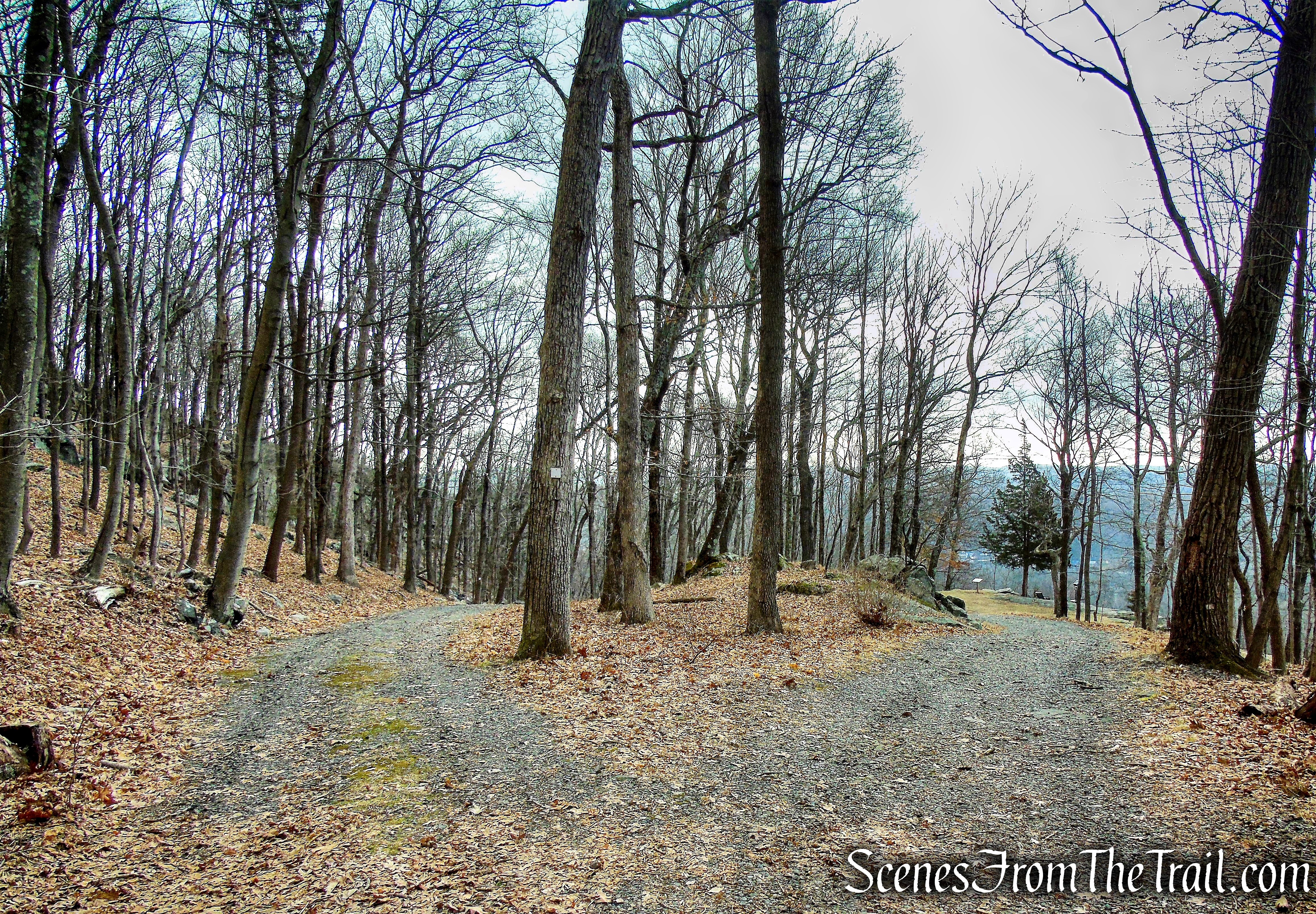 White Trail - Mountain Lakes Park